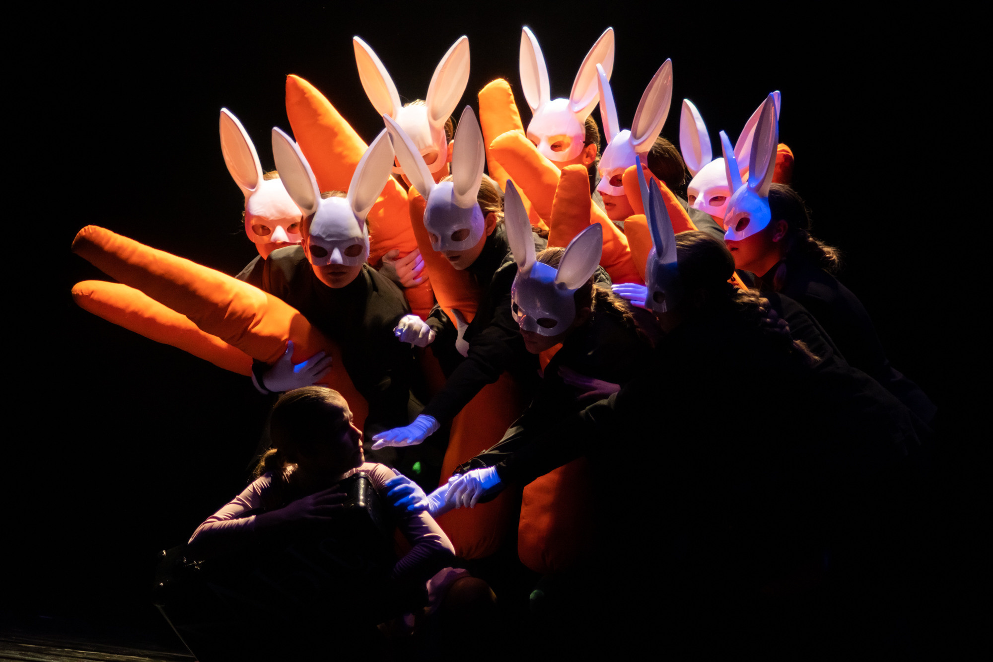 Лена Пуль. Алиса. Фото • Видео • Аэросъемка • Контент для бизнеса