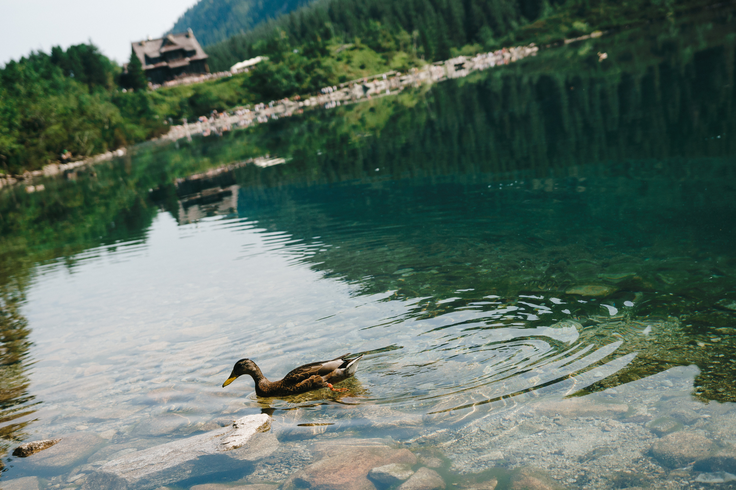 Стук Travel. Краков и Морське Око. Photo • Video • Production • Aerial • Media Creation