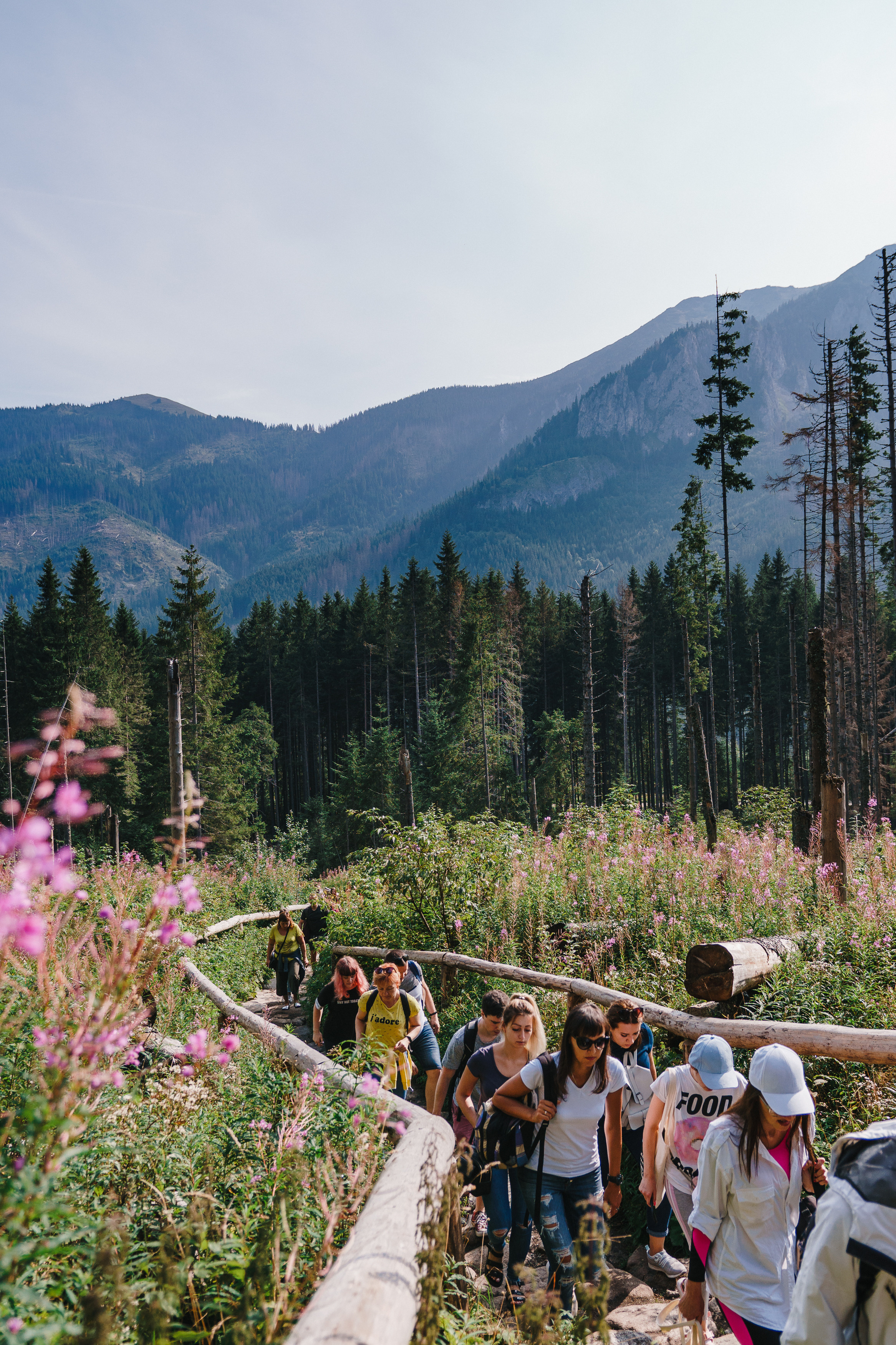 Стук Travel. Краков и Морське Око. Photo • Video • Production • Aerial • Media Creation