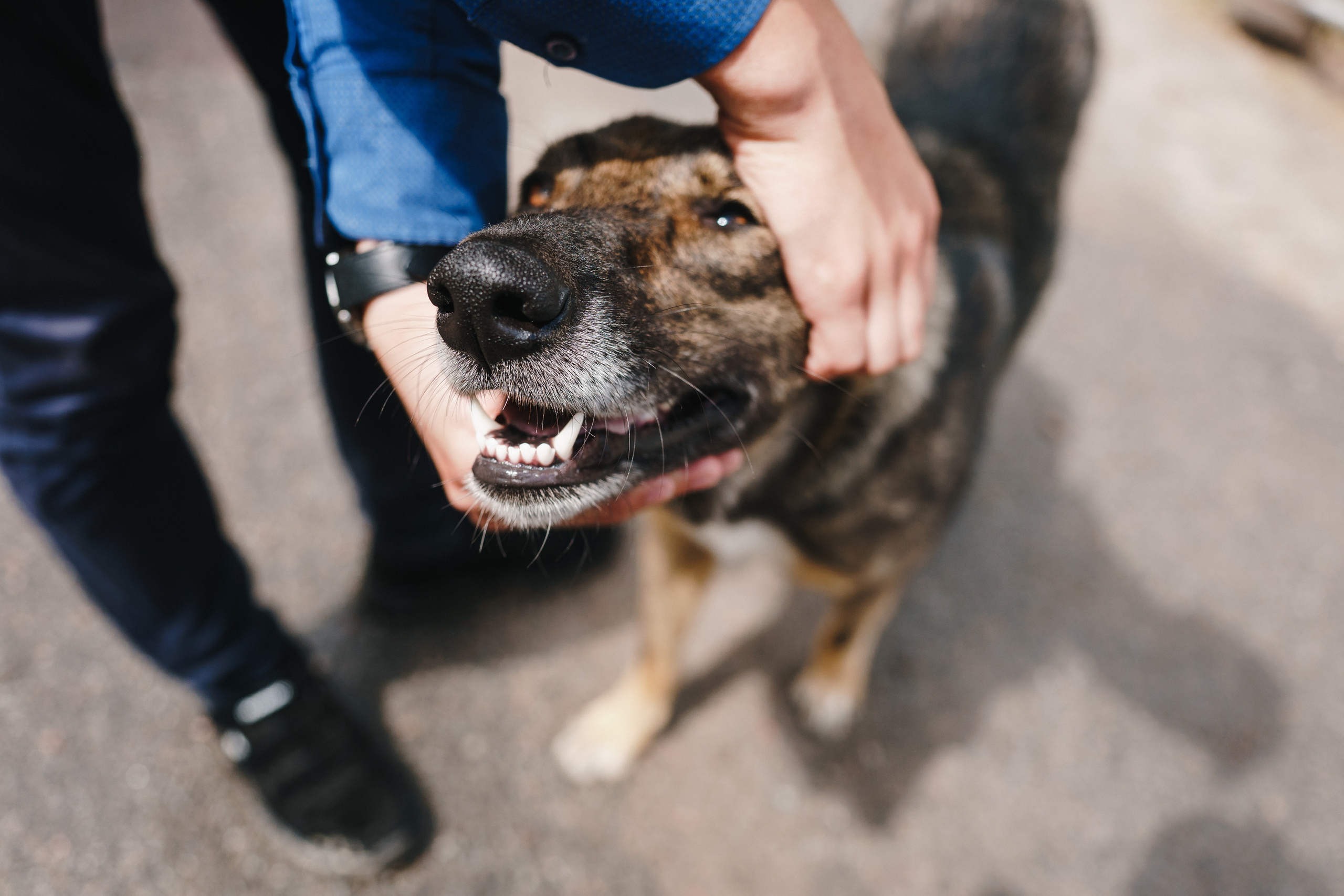 Стук Travel. Чернобыль. Фото • Видео • Аэросъемка • Контент для бизнеса