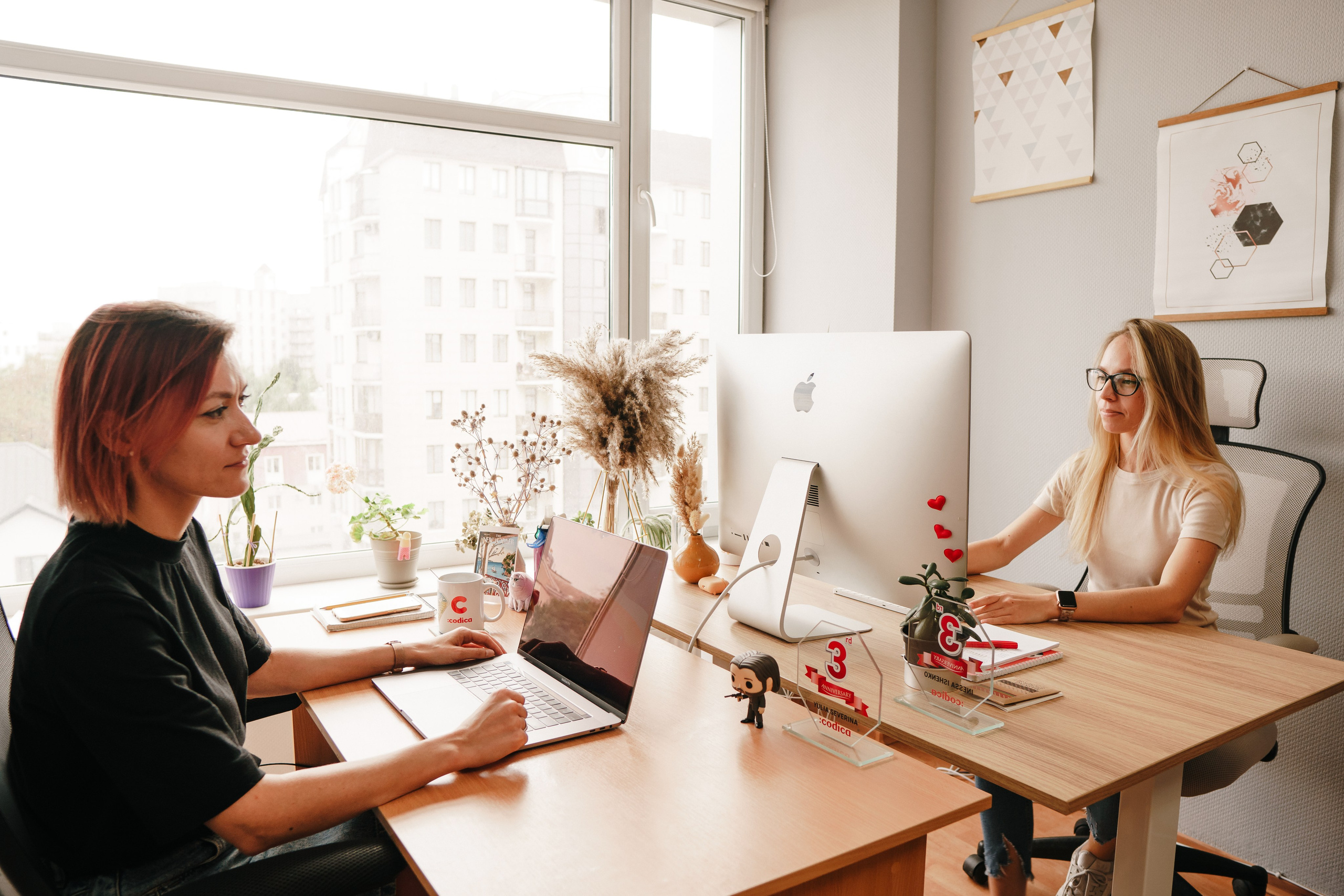 Codica. Фото • Відео • Аерозйомка • Контент для бізнесу