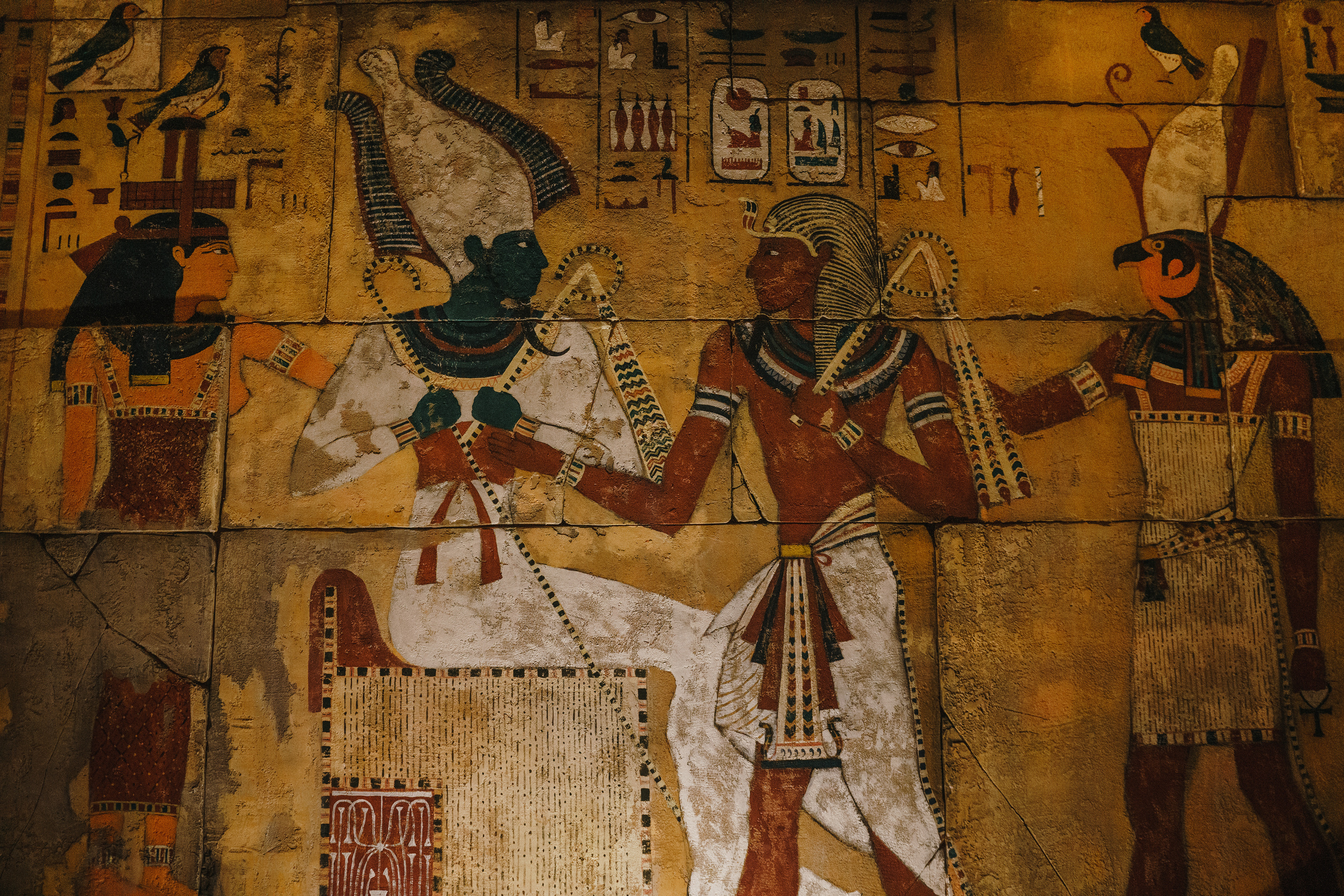 Questland ⏯. Фото • Відео • Аерозйомка • Контент для бізнесу