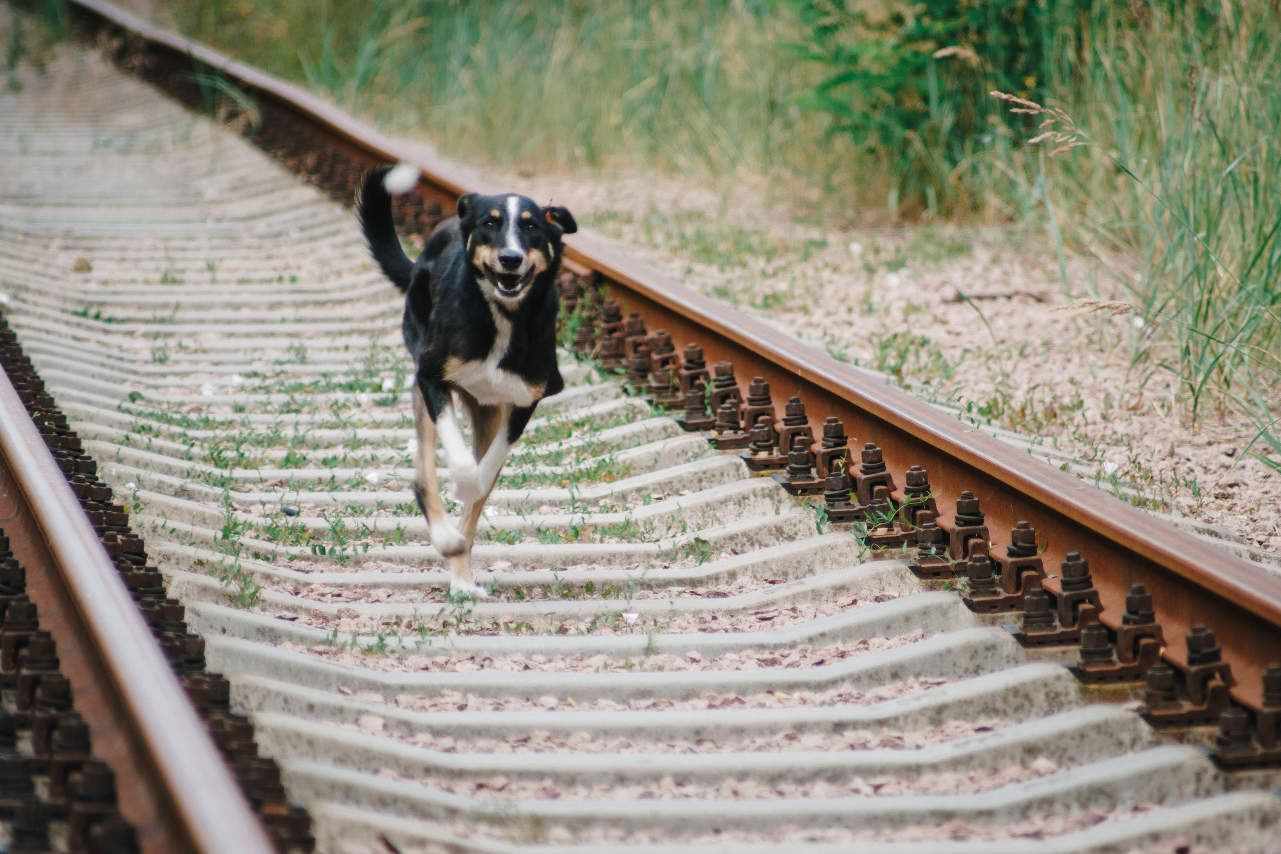 Стук Travel. Чернобыль. Фото • Видео • Аэросъемка • Контент для бизнеса