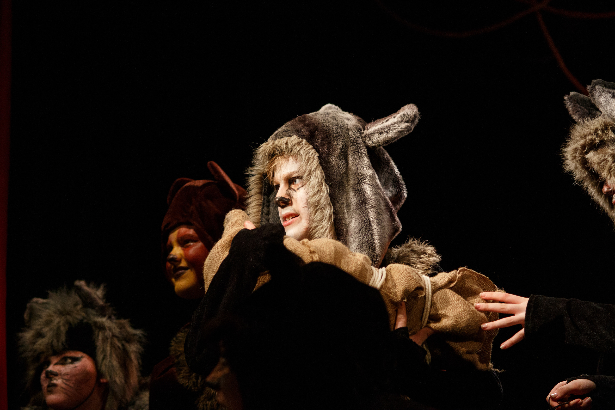 Театр «Сорванцы». Маугли. Photo • Video • Production • Aerial • Media Creation