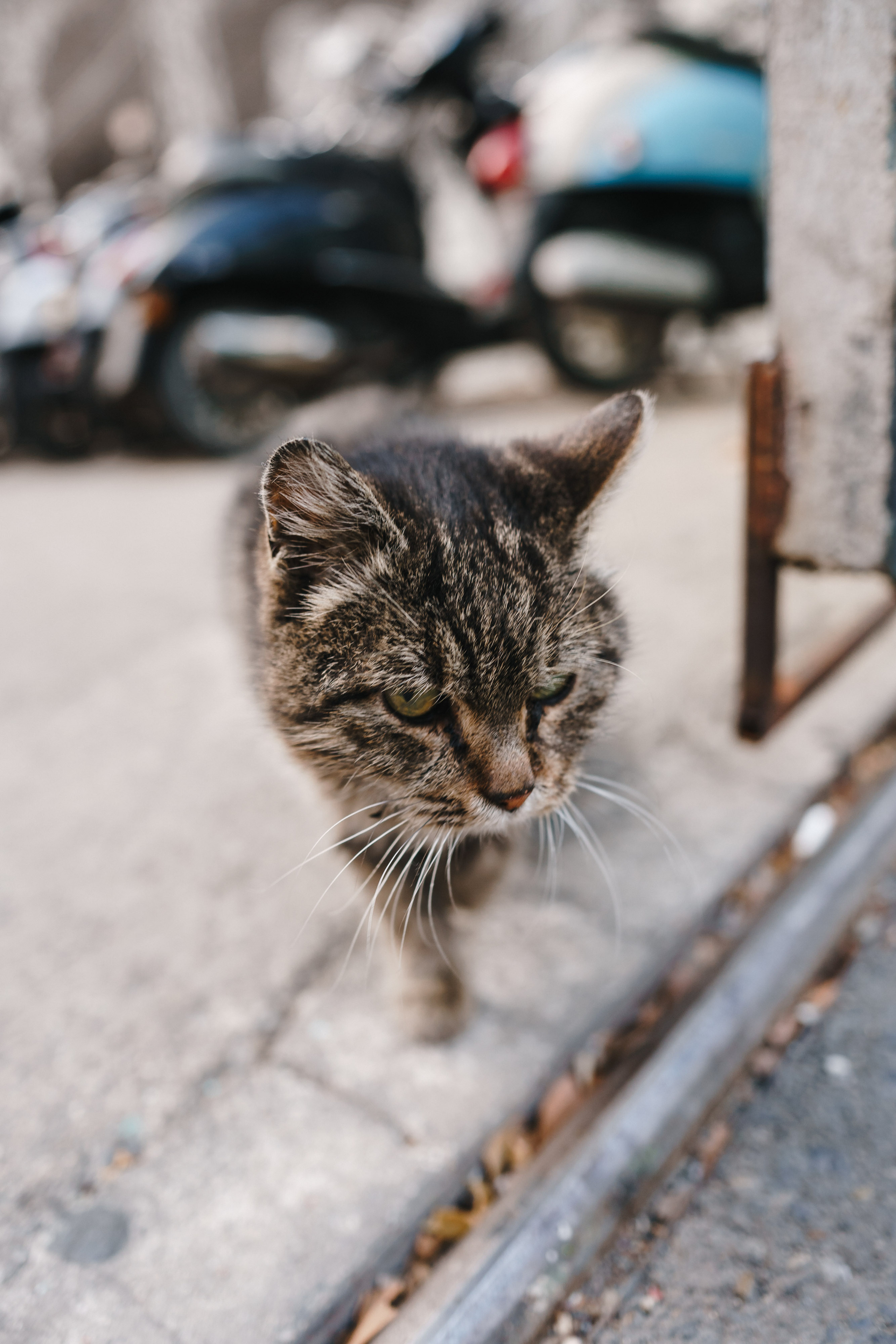 Стук Travel. Новый год в Грузии. Тбилиси, Боржоми. Photo • Video • Production • Aerial • Media Creation