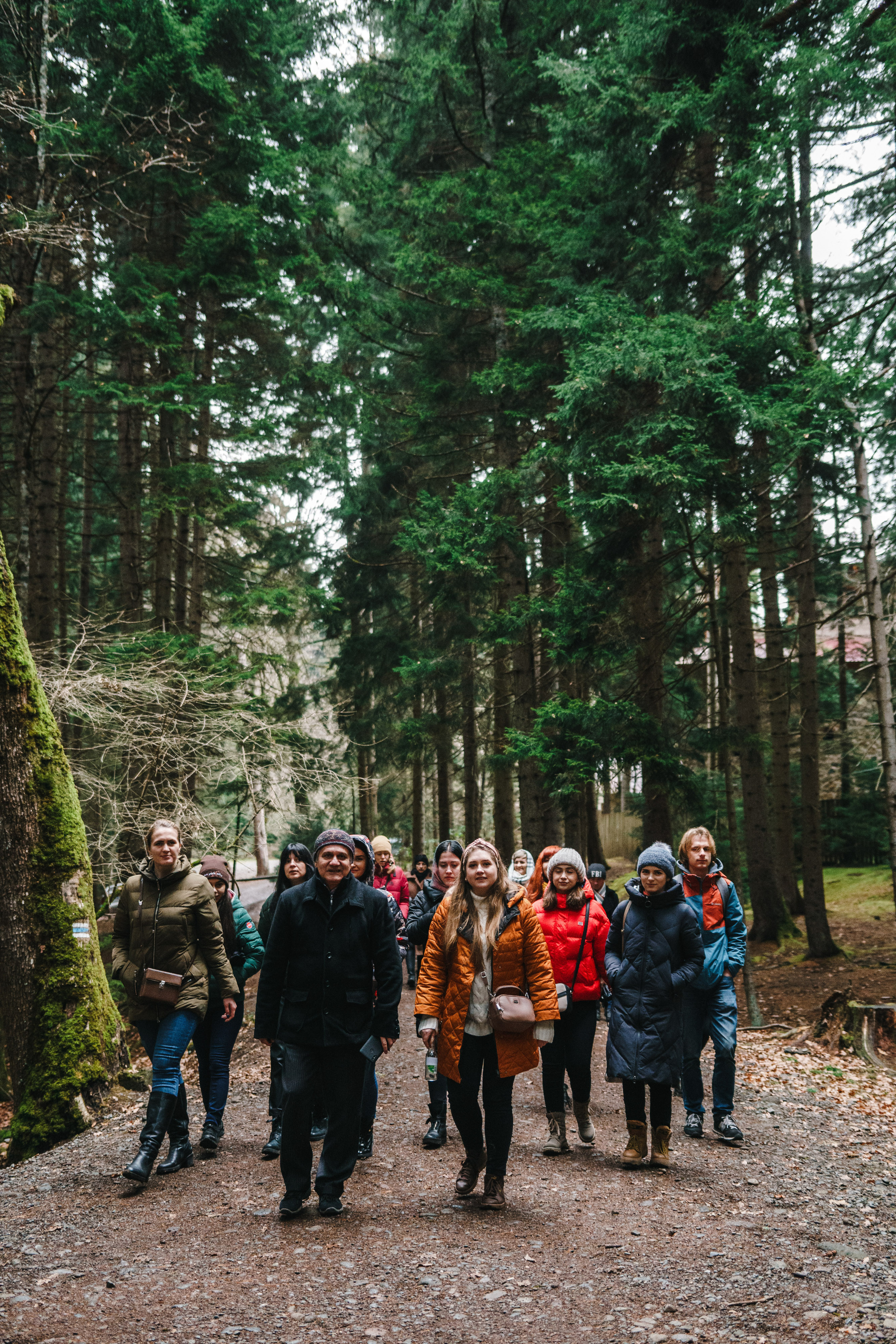 Стук Travel. Новый год в Грузии. Тбилиси, Боржоми. Photo • Video • Production • Aerial • Media Creation