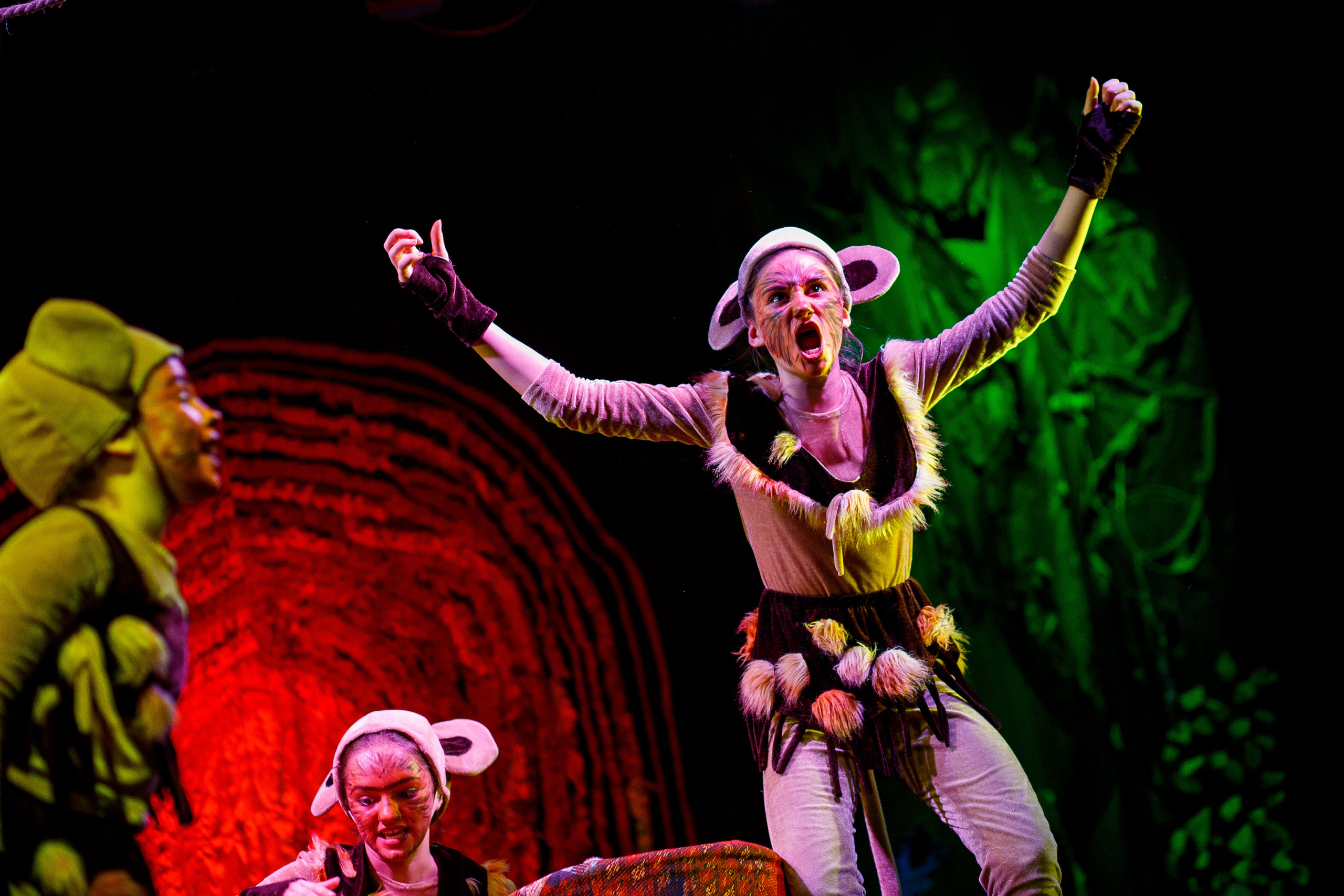 Театр «Сорванцы». Маугли. Photo • Video • Production • Aerial • Media Creation