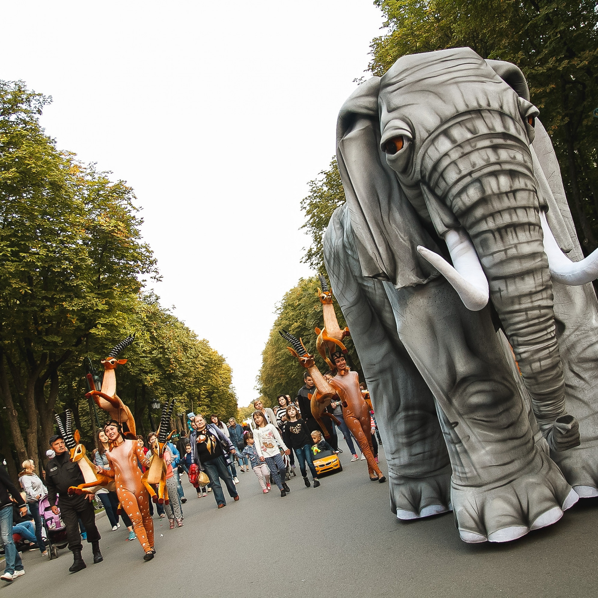 Парад игрушек в Центральном парке. Foto • Video • Produktion • Luftbildaufnahmen • Erstellung von Medien