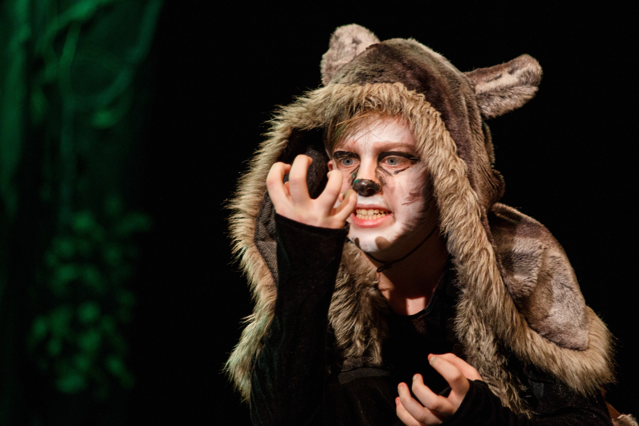 Театр «Сорванцы». Маугли. Photo • Video • Production • Aerial • Media Creation