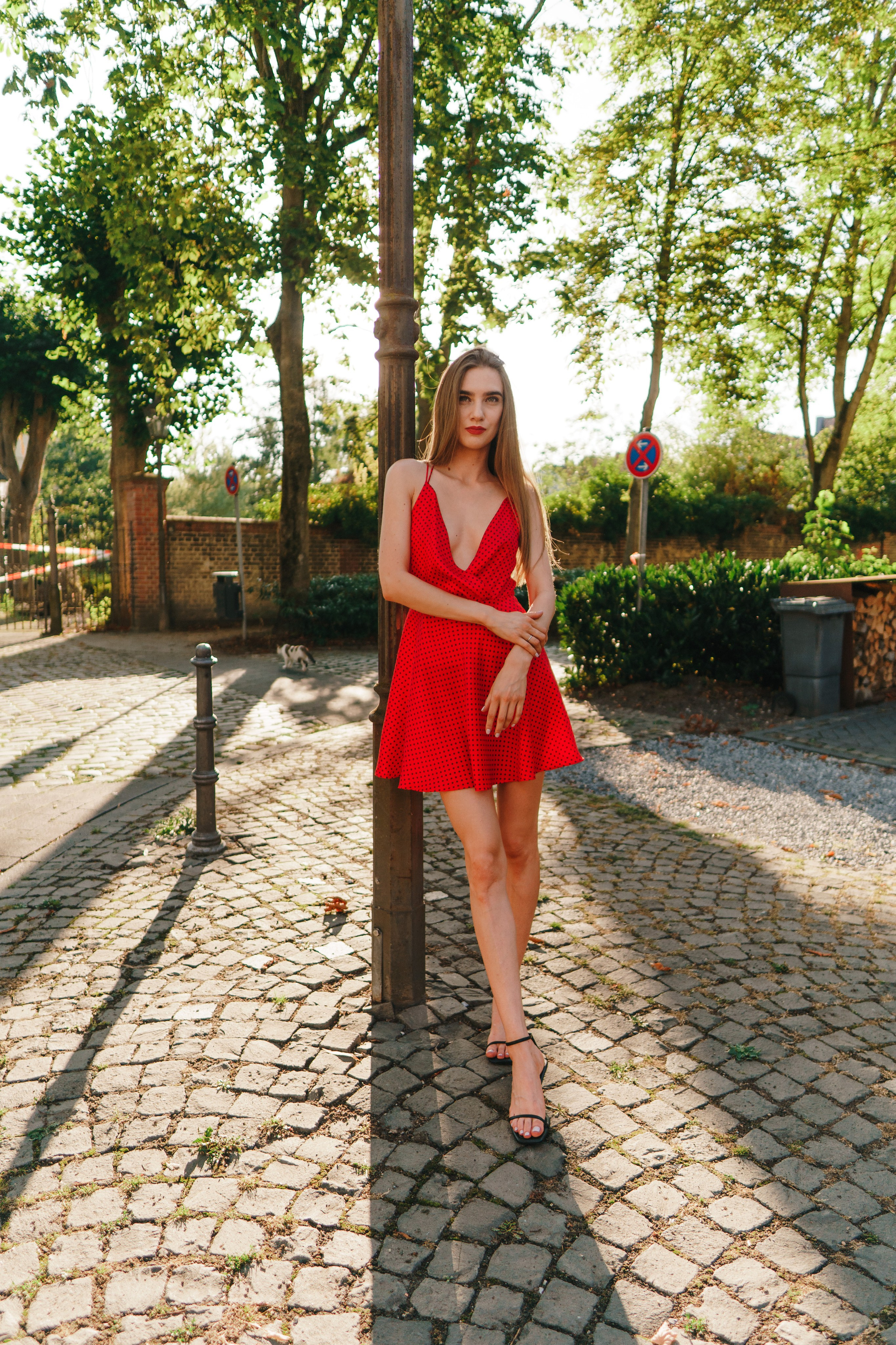 Daria. Foto • Video • Produktion • Luftbildaufnahmen • Erstellung von Medien