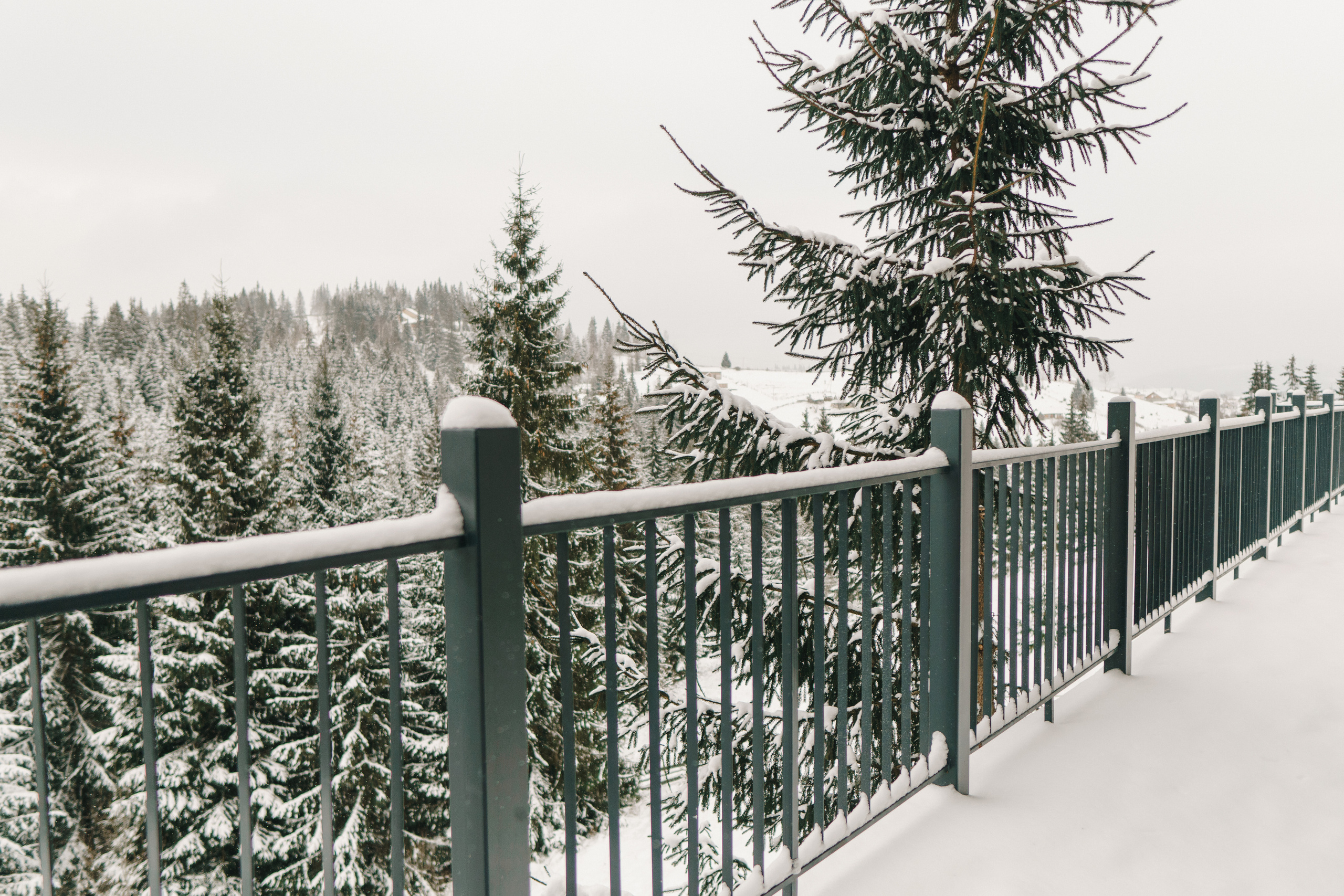 Chevalier Panorama ⏯. Фото • Відео • Аерозйомка • Контент для бізнесу