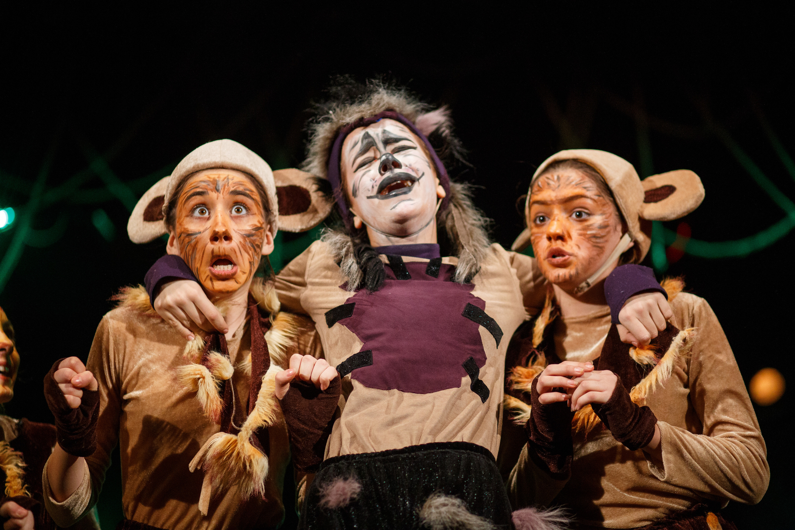 Театр «Сорванцы». Маугли. Photo • Video • Production • Aerial • Media Creation