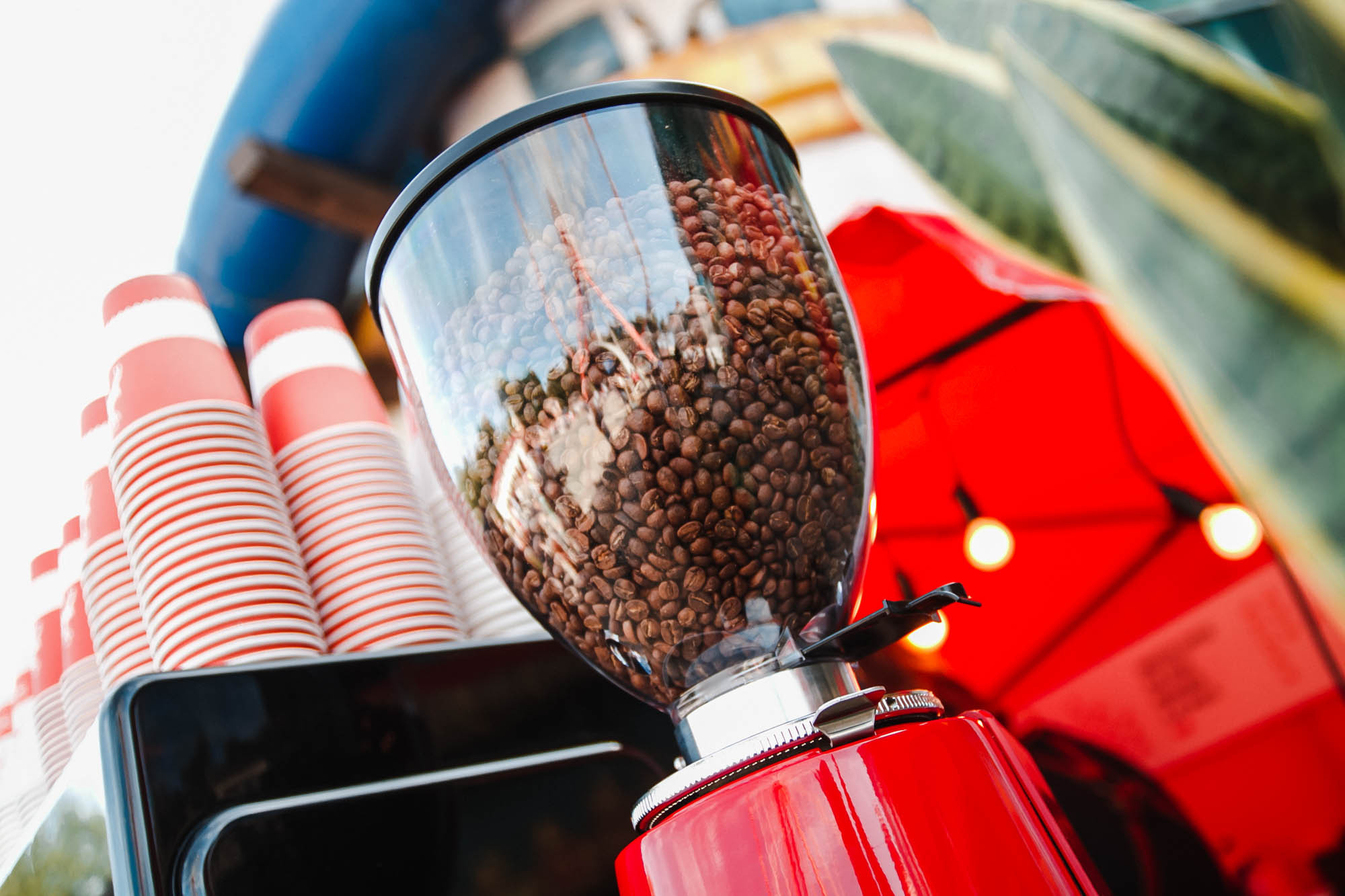 Фестиваль кофе в Центральном парке. Foto • Video • Produktion • Luftbildaufnahmen • Erstellung von Medien