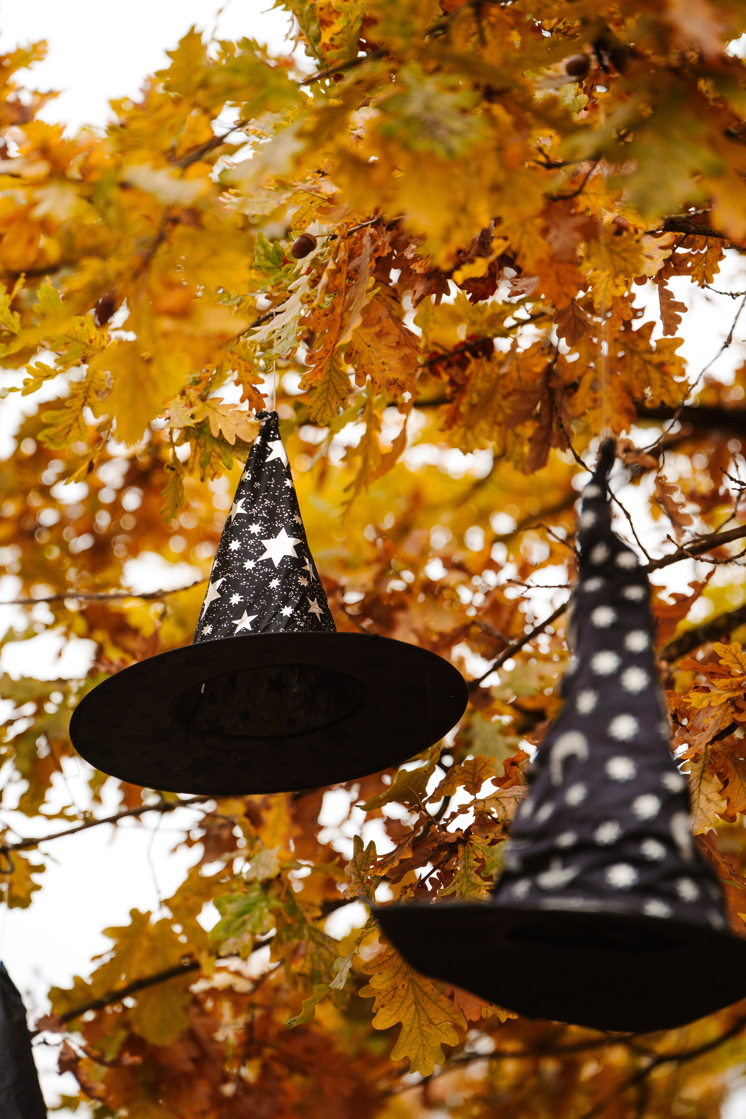 LEGOLAND Halloween 2025. Фото • Відео • Аерозйомка • Контент для бізнесу