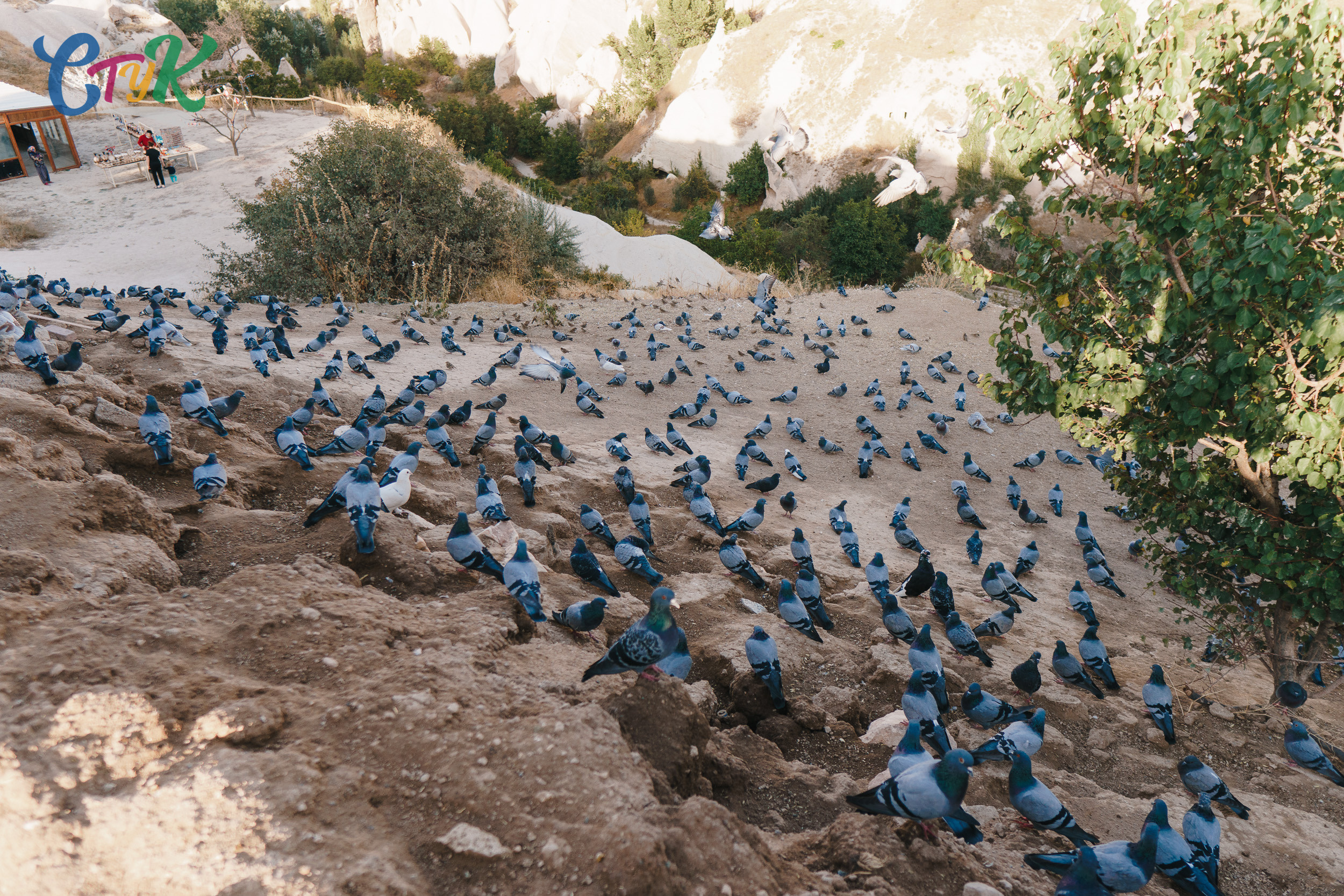 Стук Travel. Каппадокия. Photo • Video • Production • Aerial • Media Creation