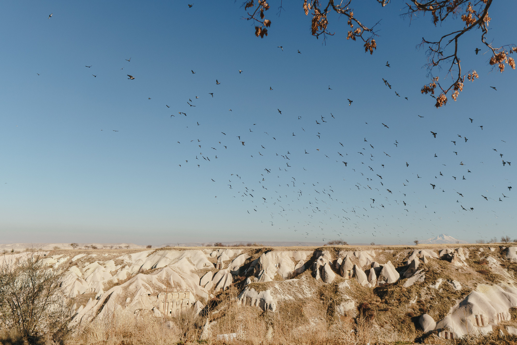 Стук Travel. Новый год в Каппадокии. Фото • Відео • Аерозйомка • Контент для бізнесу