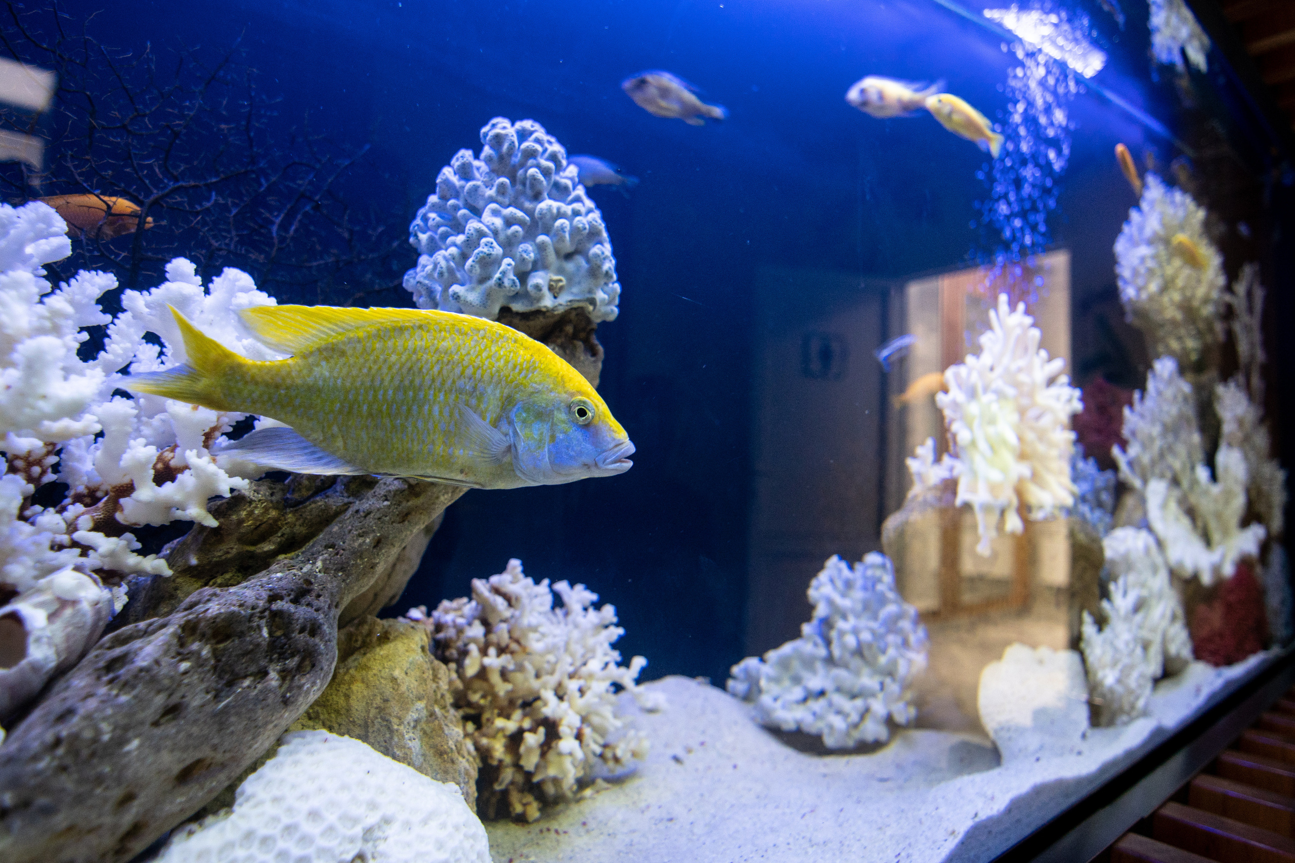 Туалет. Парк Горького. Photo • Video • Production • Aerial • Media Creation