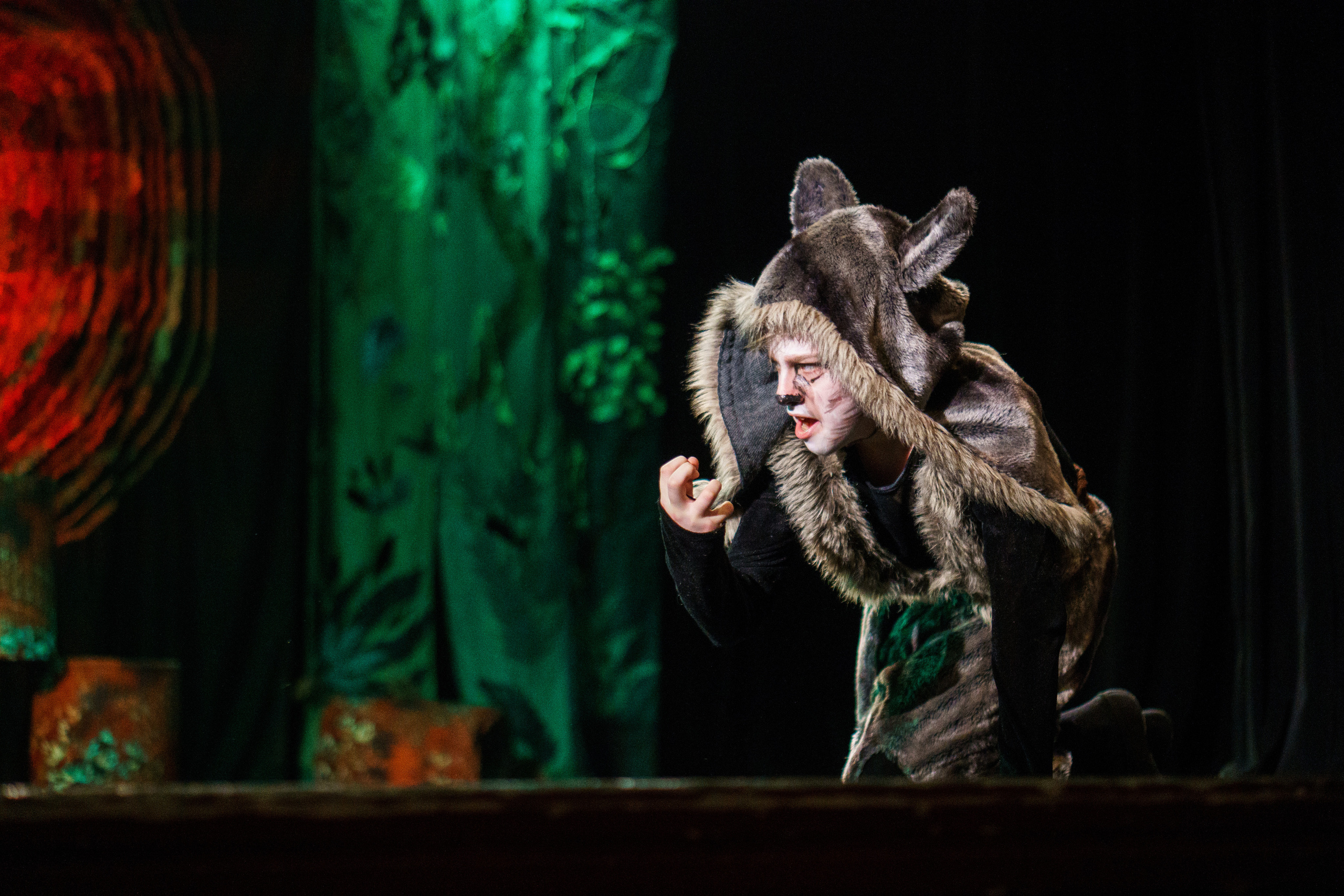 Театр «Сорванцы». Маугли. Photo • Video • Production • Aerial • Media Creation