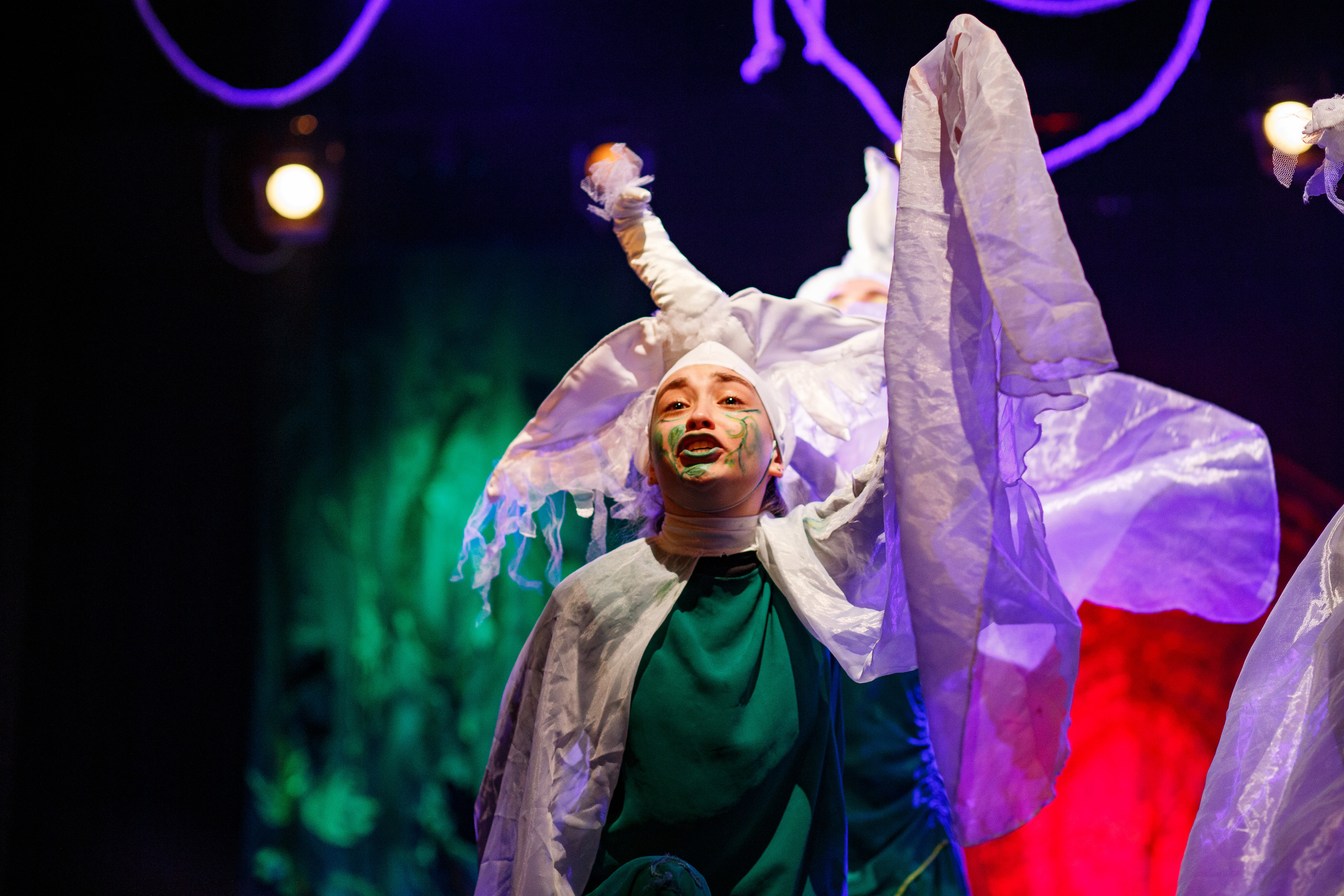 Театр «Сорванцы». Маугли. Photo • Video • Production • Aerial • Media Creation