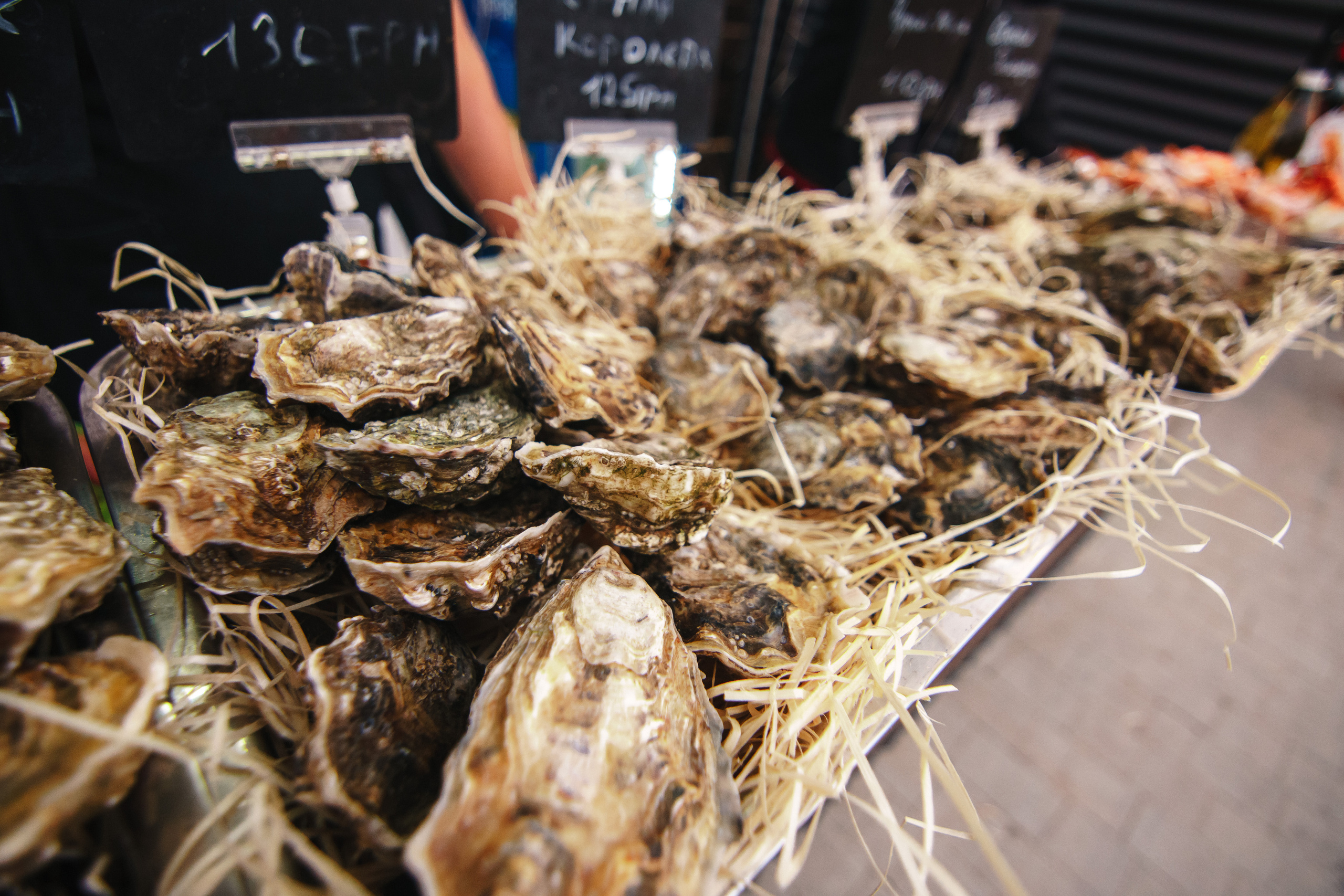 Фестиваль Поколение 90-х. День 1. Фото • Відео • Аерозйомка • Контент для бізнесу