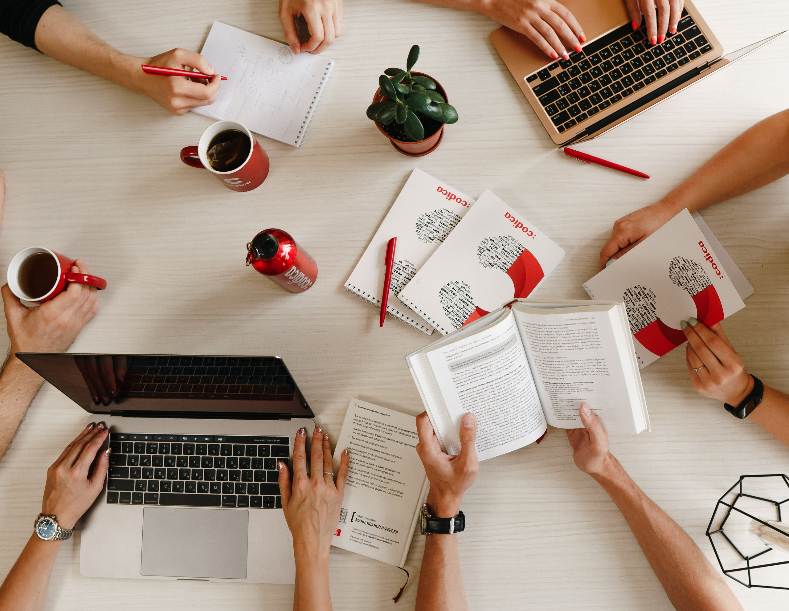 Codica. Фото • Відео • Аерозйомка • Контент для бізнесу