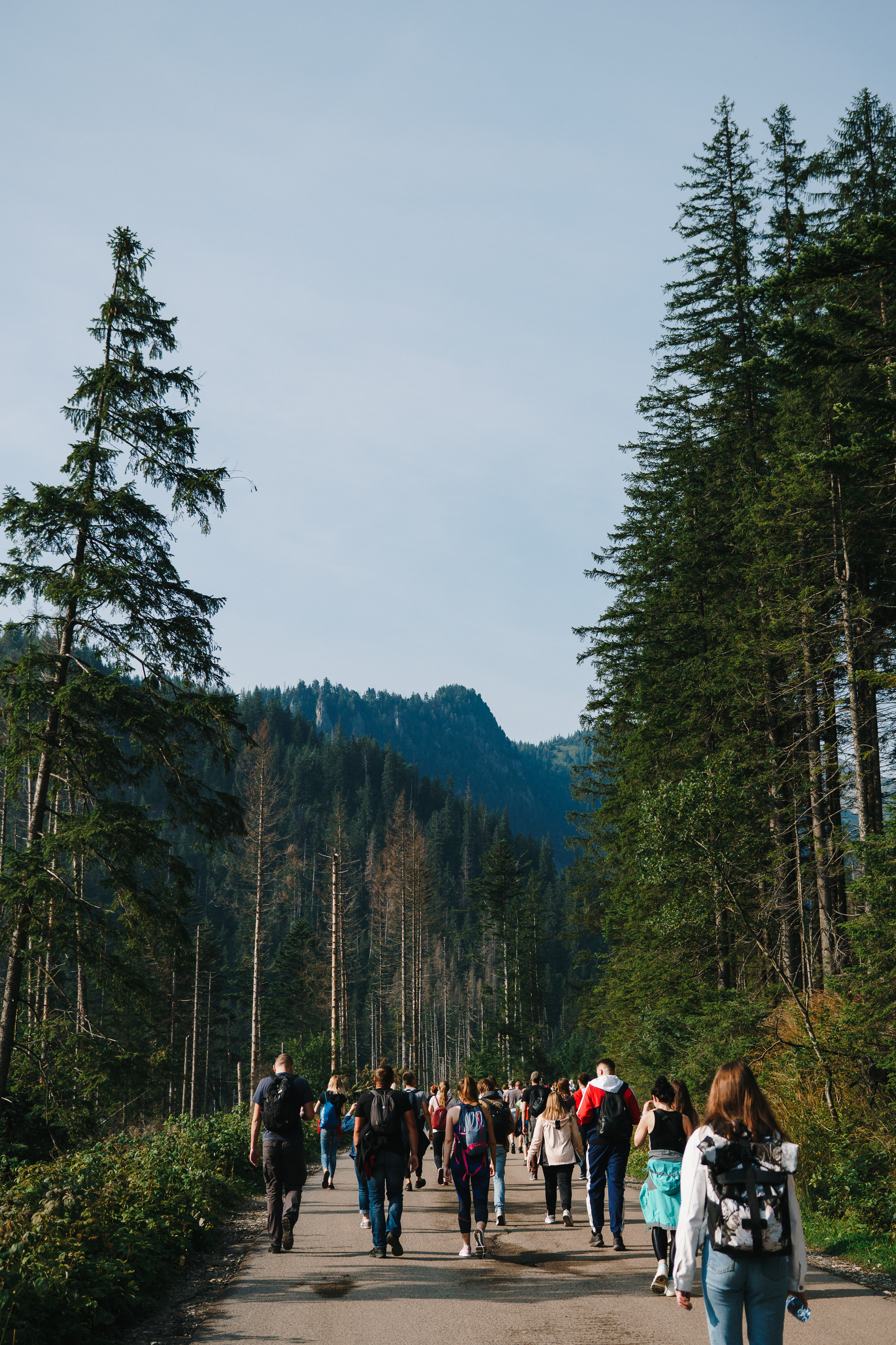 Стук Travel. Краков и Морське Око. Photo • Video • Production • Aerial • Media Creation