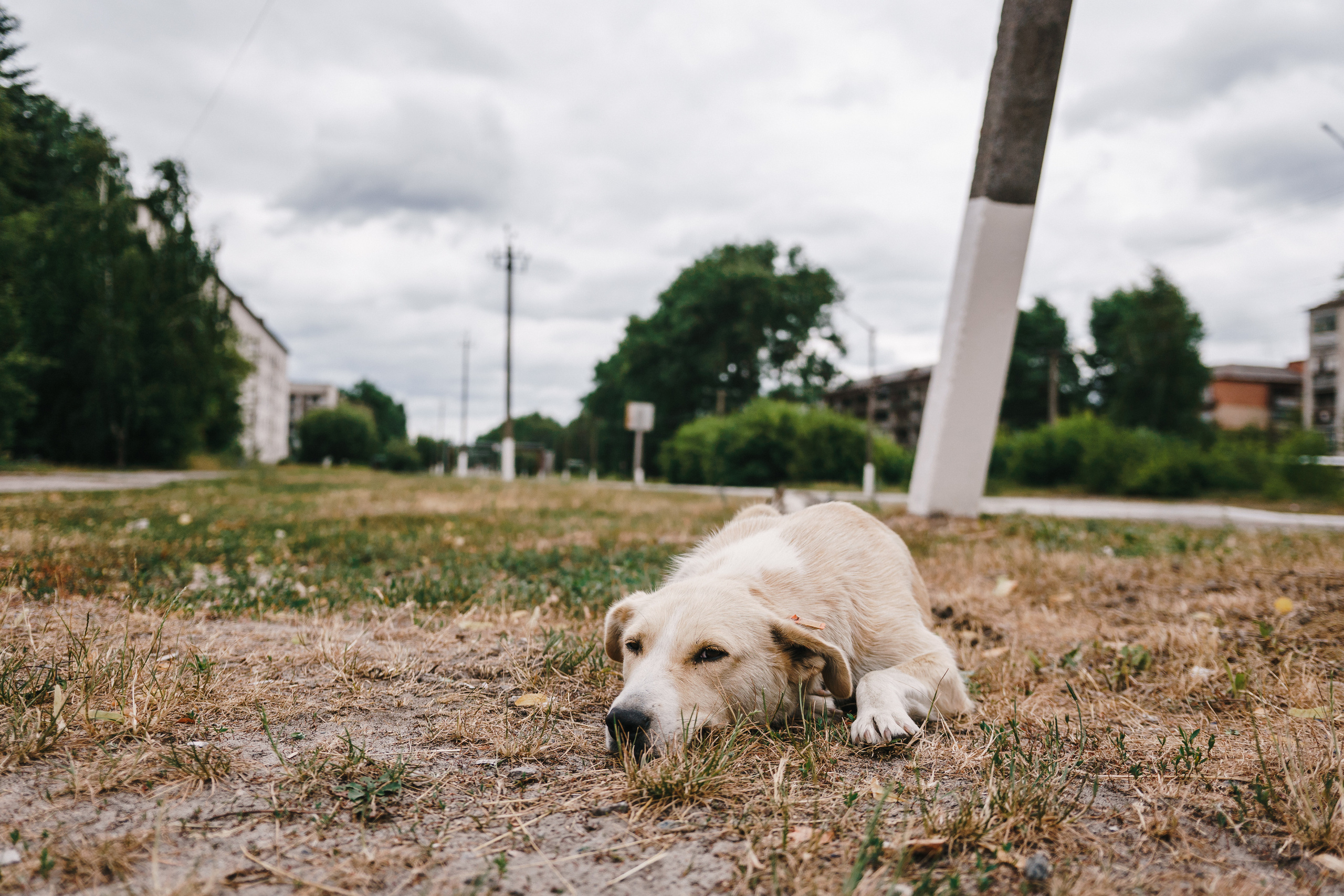 Стук Travel. Чернобыль. Фото • Видео • Аэросъемка • Контент для бизнеса