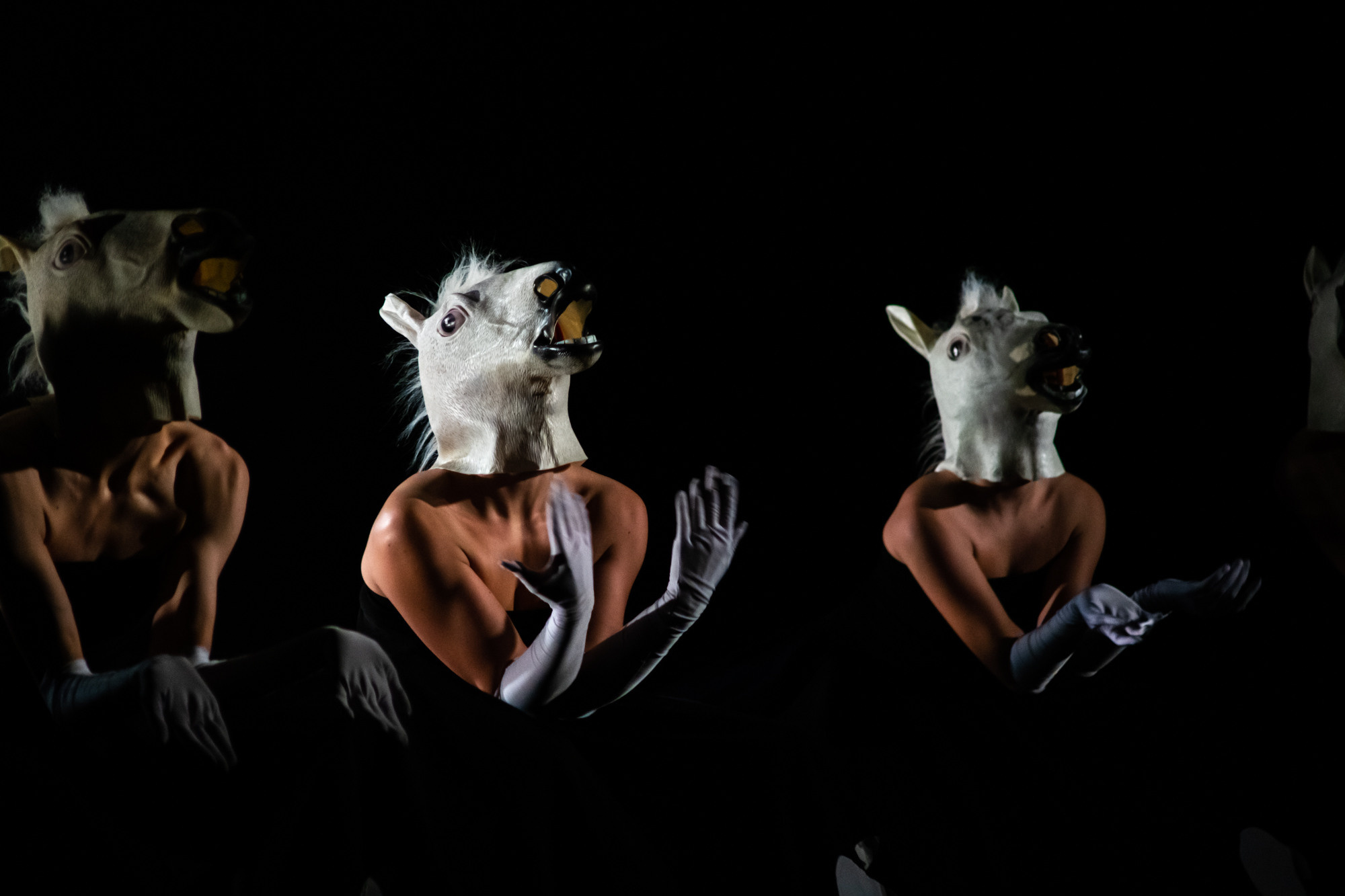 Лена Пуль. Алиса. Фото • Видео • Аэросъемка • Контент для бизнеса