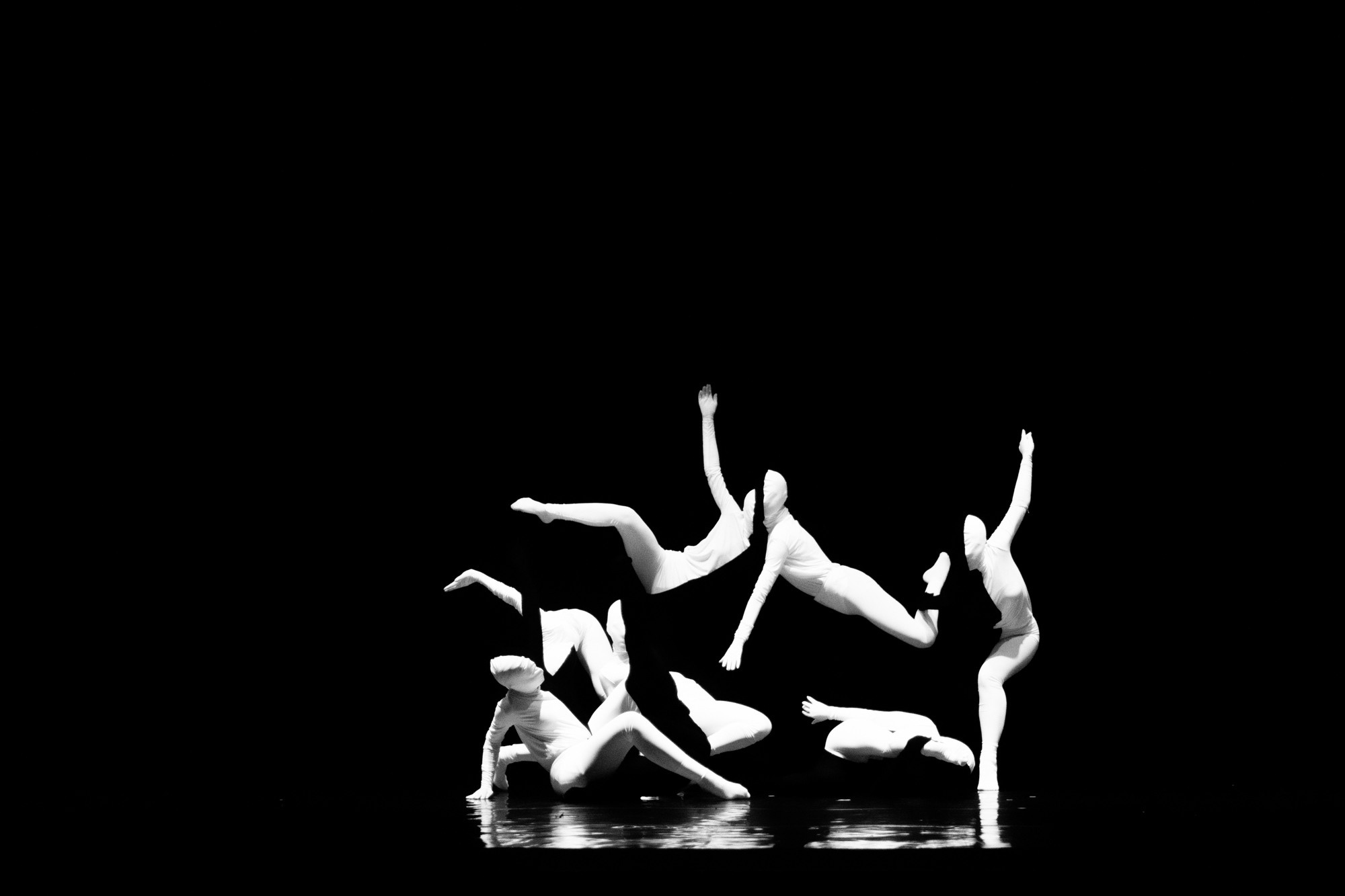 Лена Пуль. Алиса. Фото • Видео • Аэросъемка • Контент для бизнеса