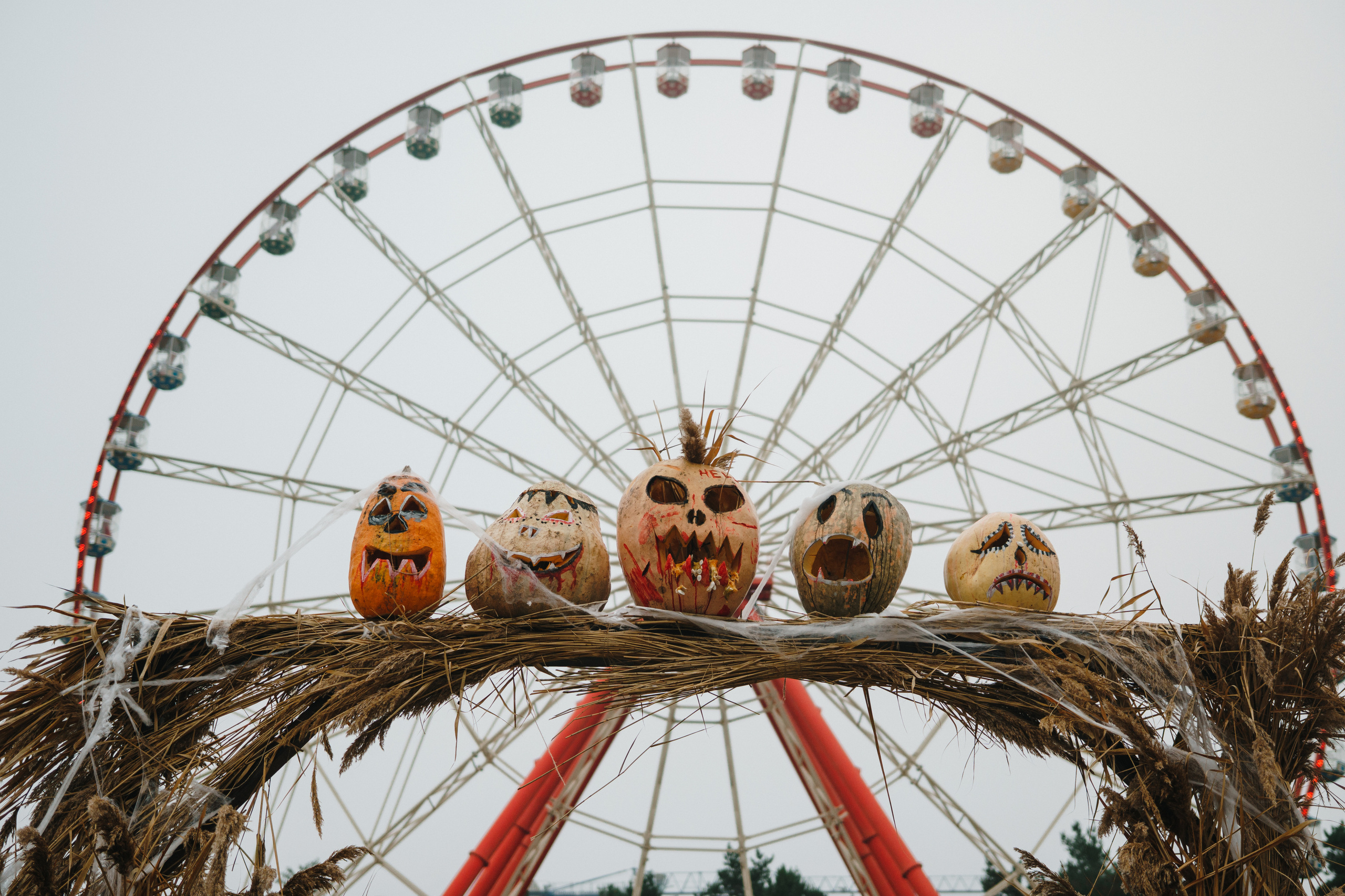 Хэллоуин в Центральном парке (2019). Foto • Video • Produktion • Luftbildaufnahmen • Erstellung von Medien