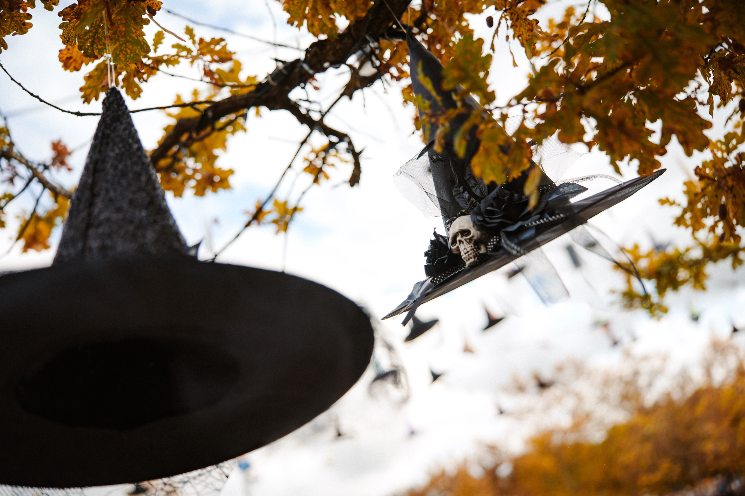 LEGOLAND Halloween 2025. Фото • Відео • Аерозйомка • Контент для бізнесу