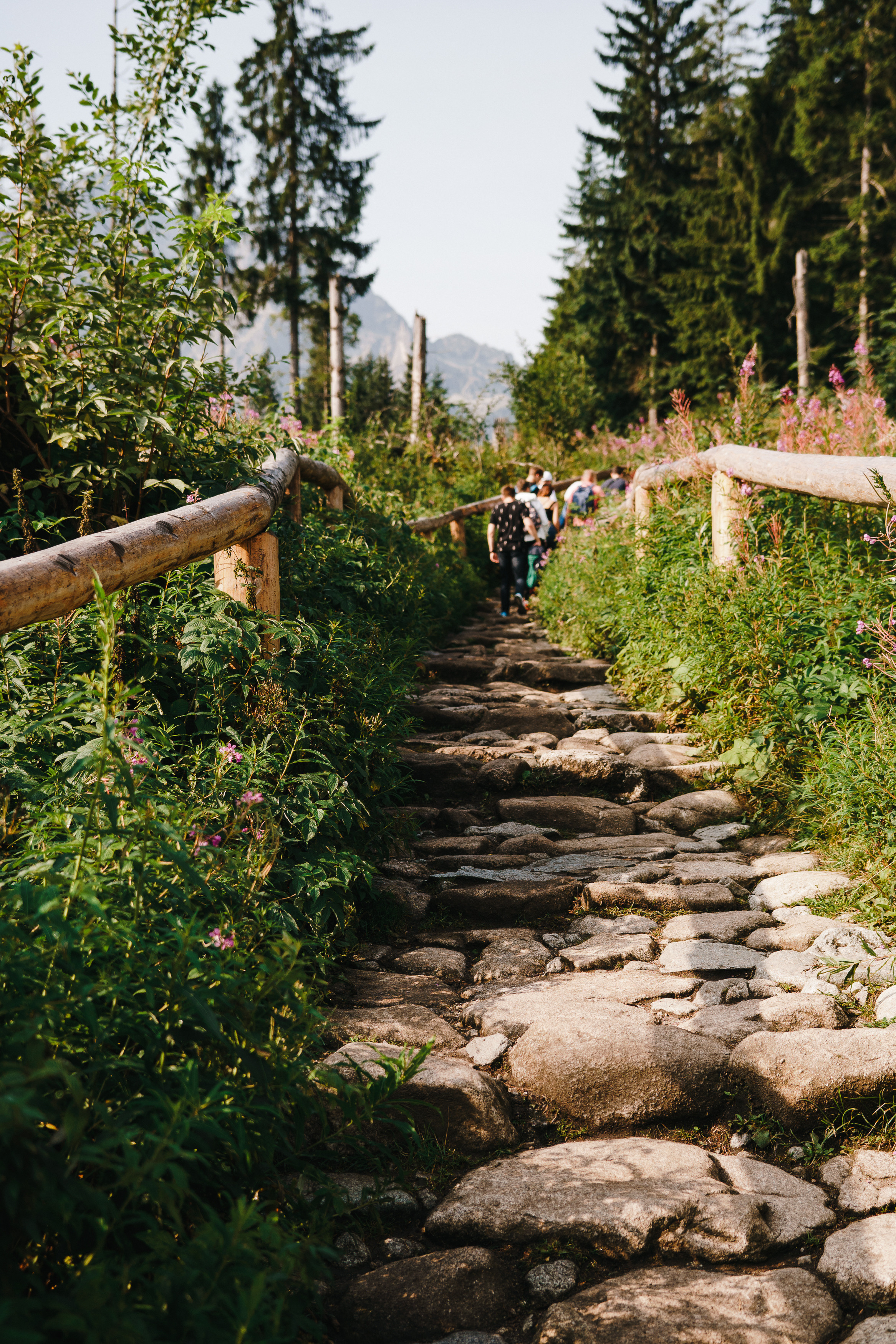 Стук Travel. Краков и Морське Око. Photo • Video • Production • Aerial • Media Creation