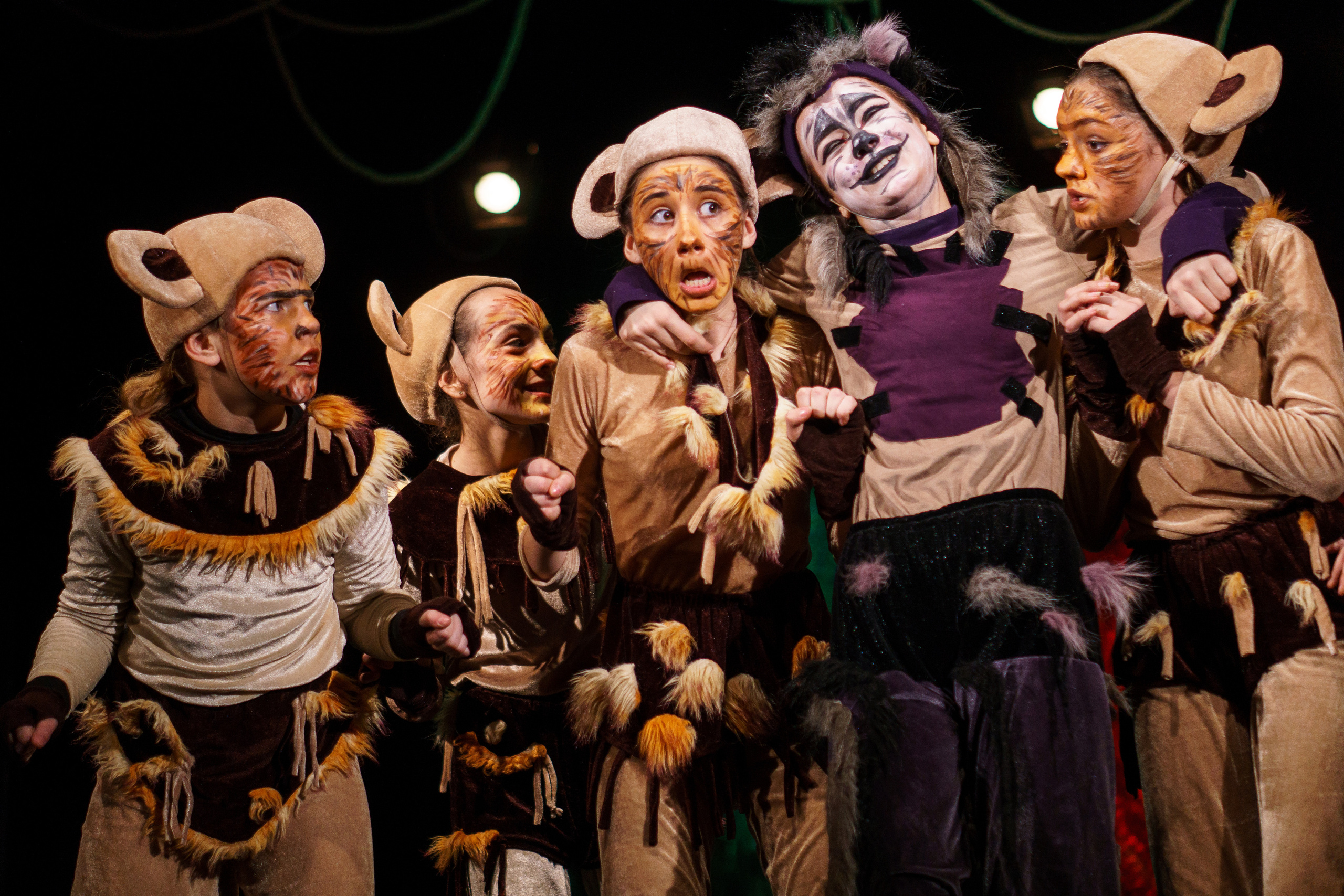 Театр «Сорванцы». Маугли. Photo • Video • Production • Aerial • Media Creation