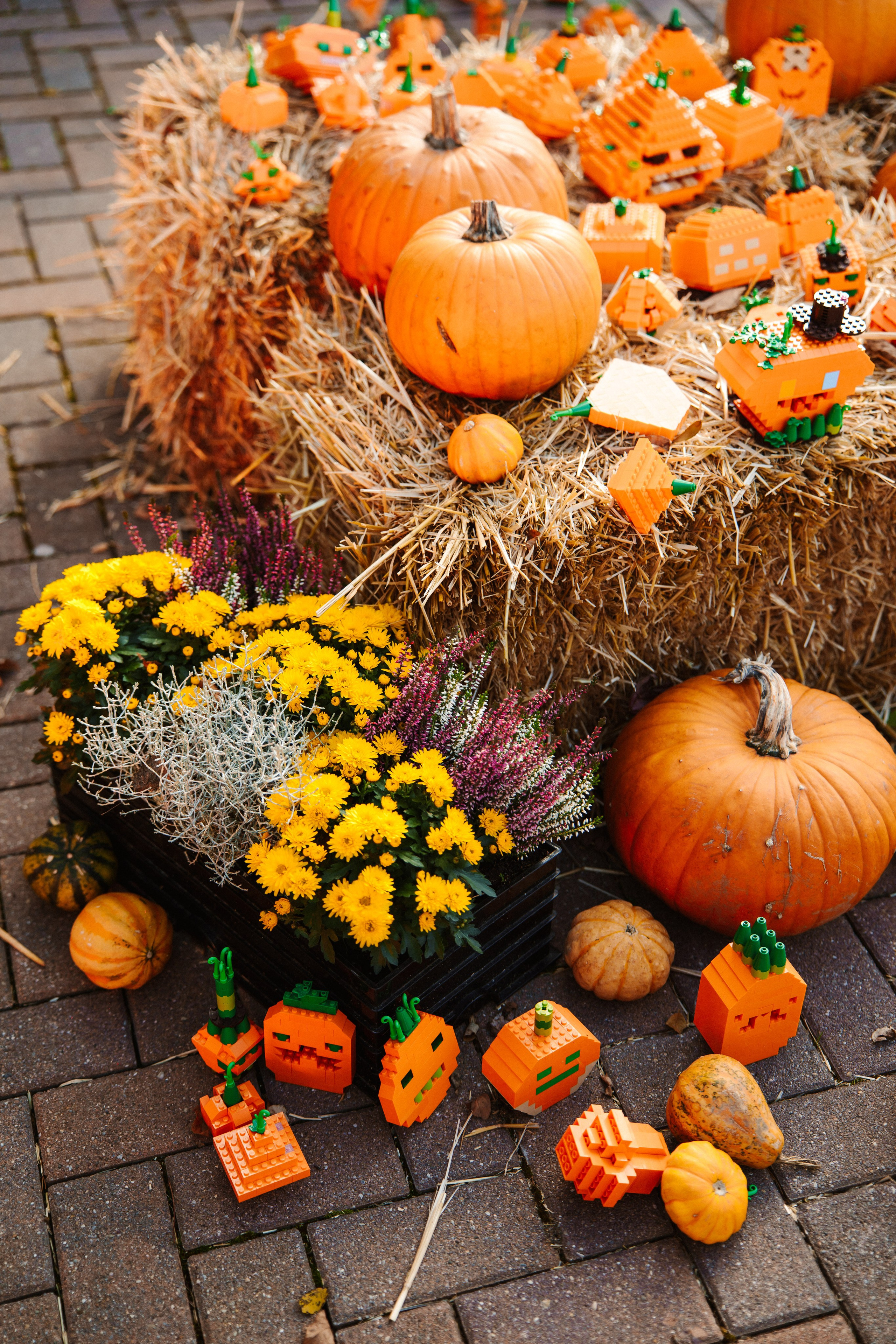 LEGOLAND Halloween 2025. Фото • Відео • Аерозйомка • Контент для бізнесу