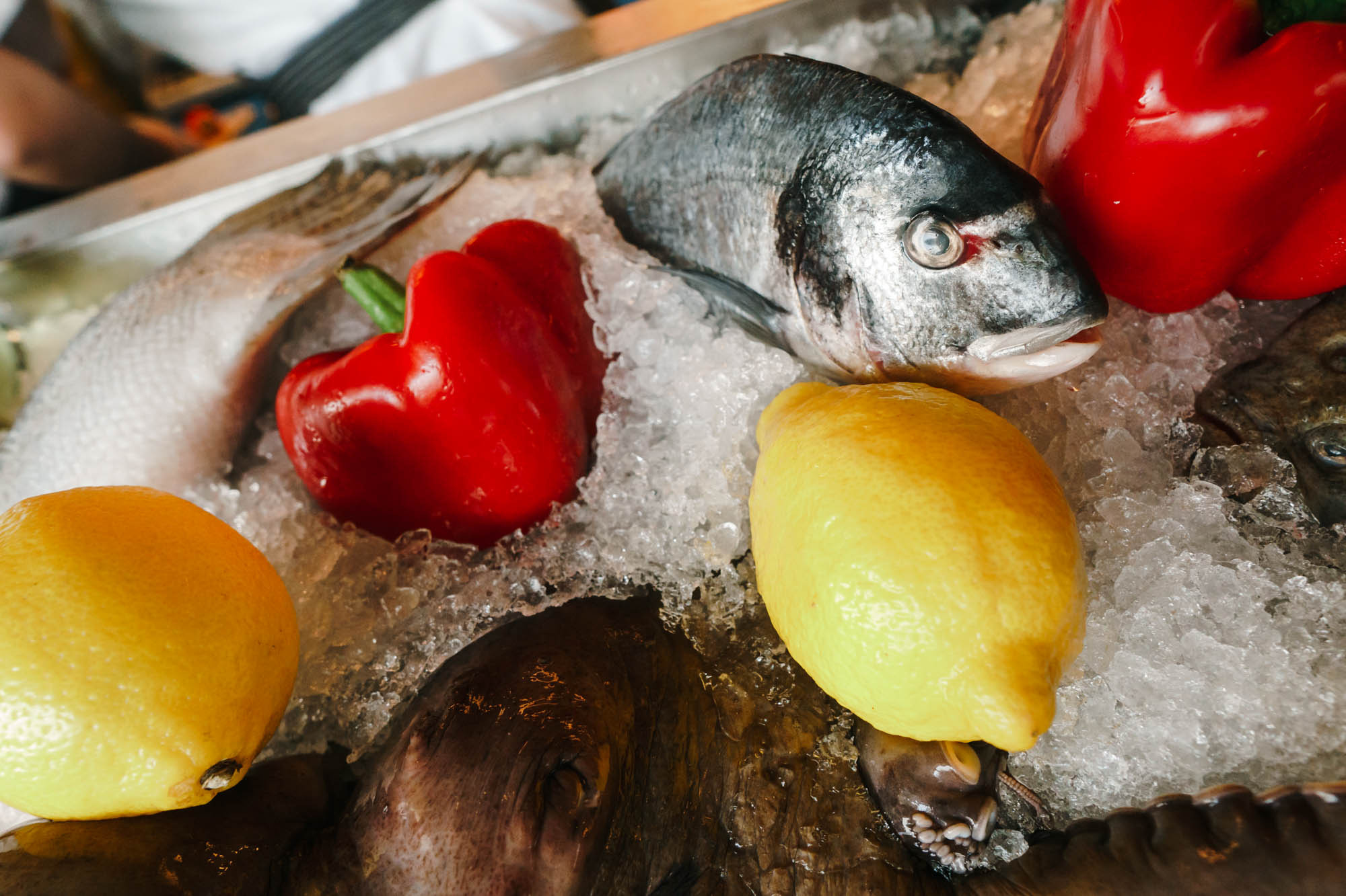 Fish Fetish. ТРЦ NIKOLSKY. Фото • Відео • Аерозйомка • Контент для бізнесу