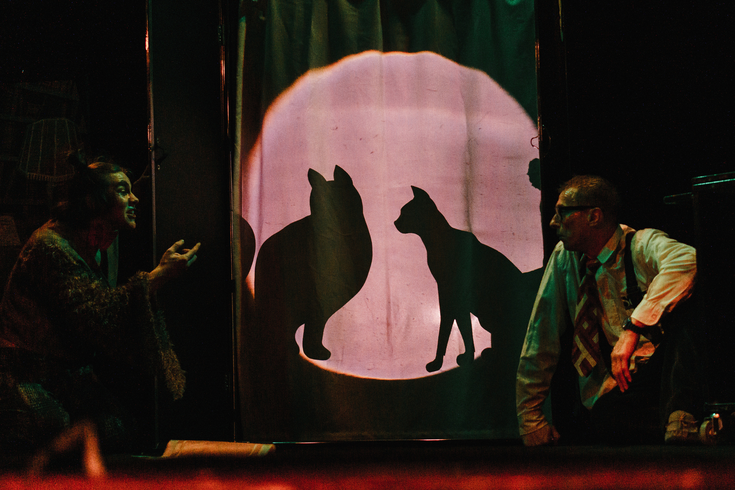 Театр «Сорванцы». Три плюс Кот. Премьера. Фото • Видео • Аэросъемка • Контент для бизнеса