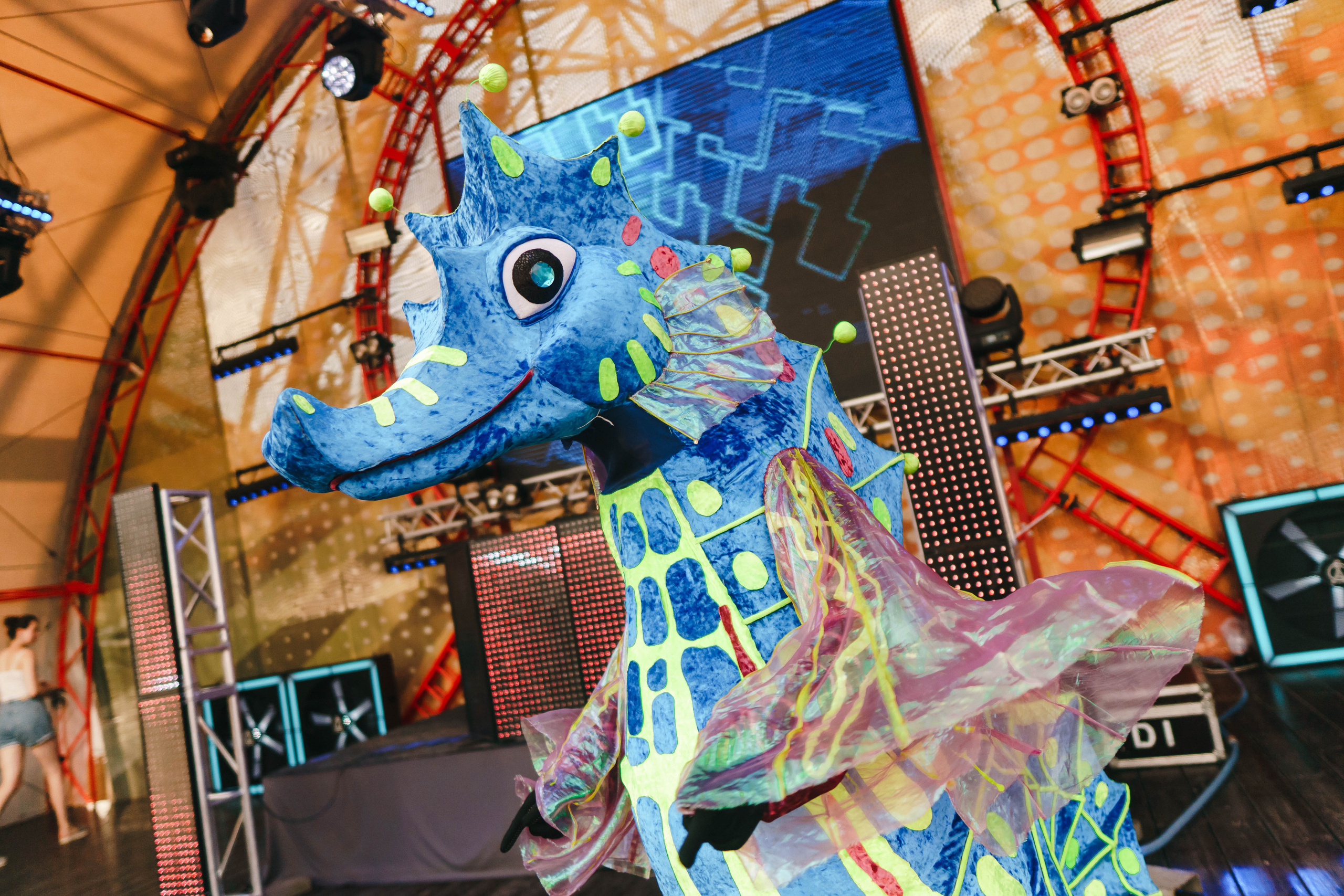 Экватор лета в Центральном парке. Foto • Video • Produktion • Luftbildaufnahmen • Erstellung von Medien