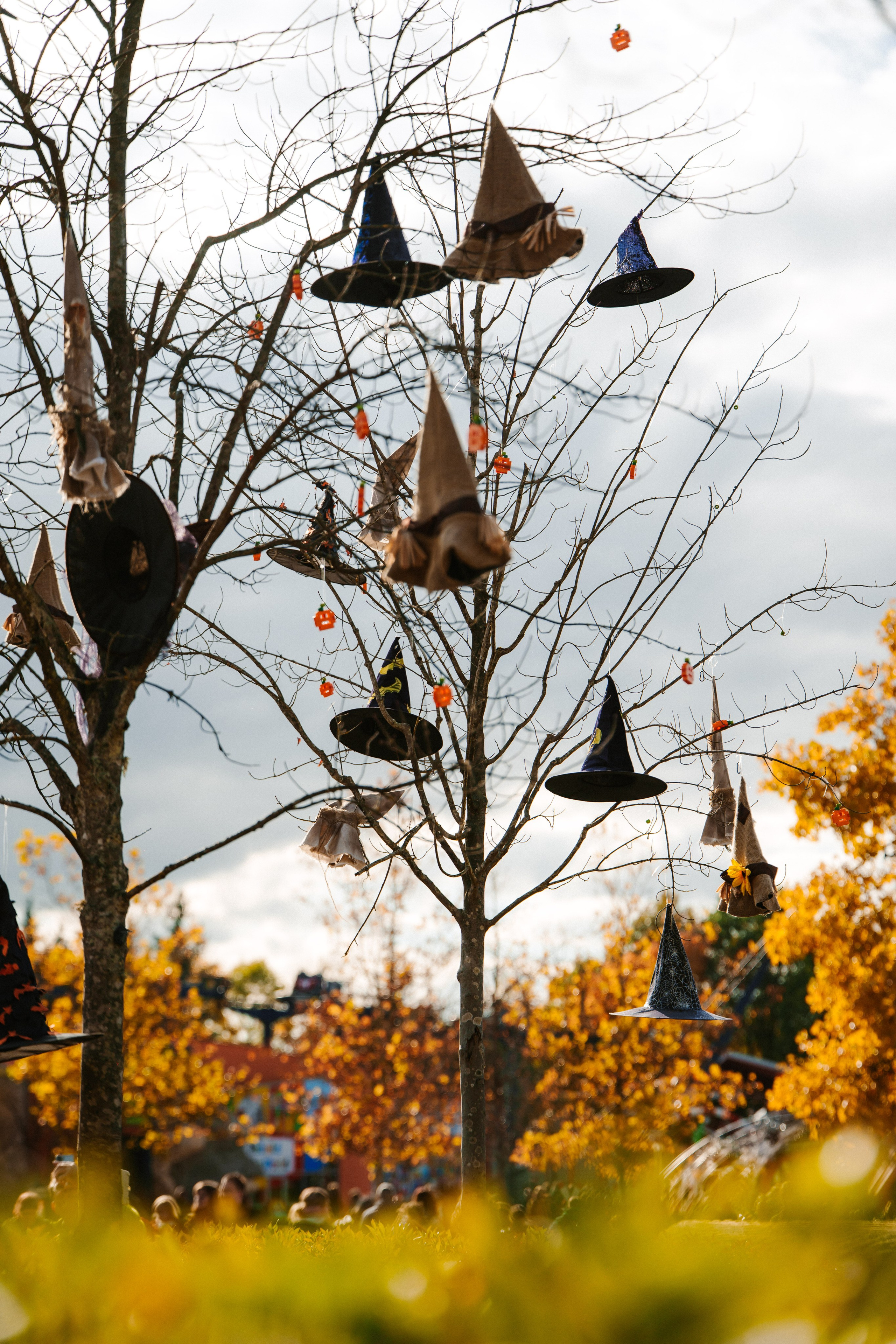 LEGOLAND Halloween 2025. Фото • Відео • Аерозйомка • Контент для бізнесу