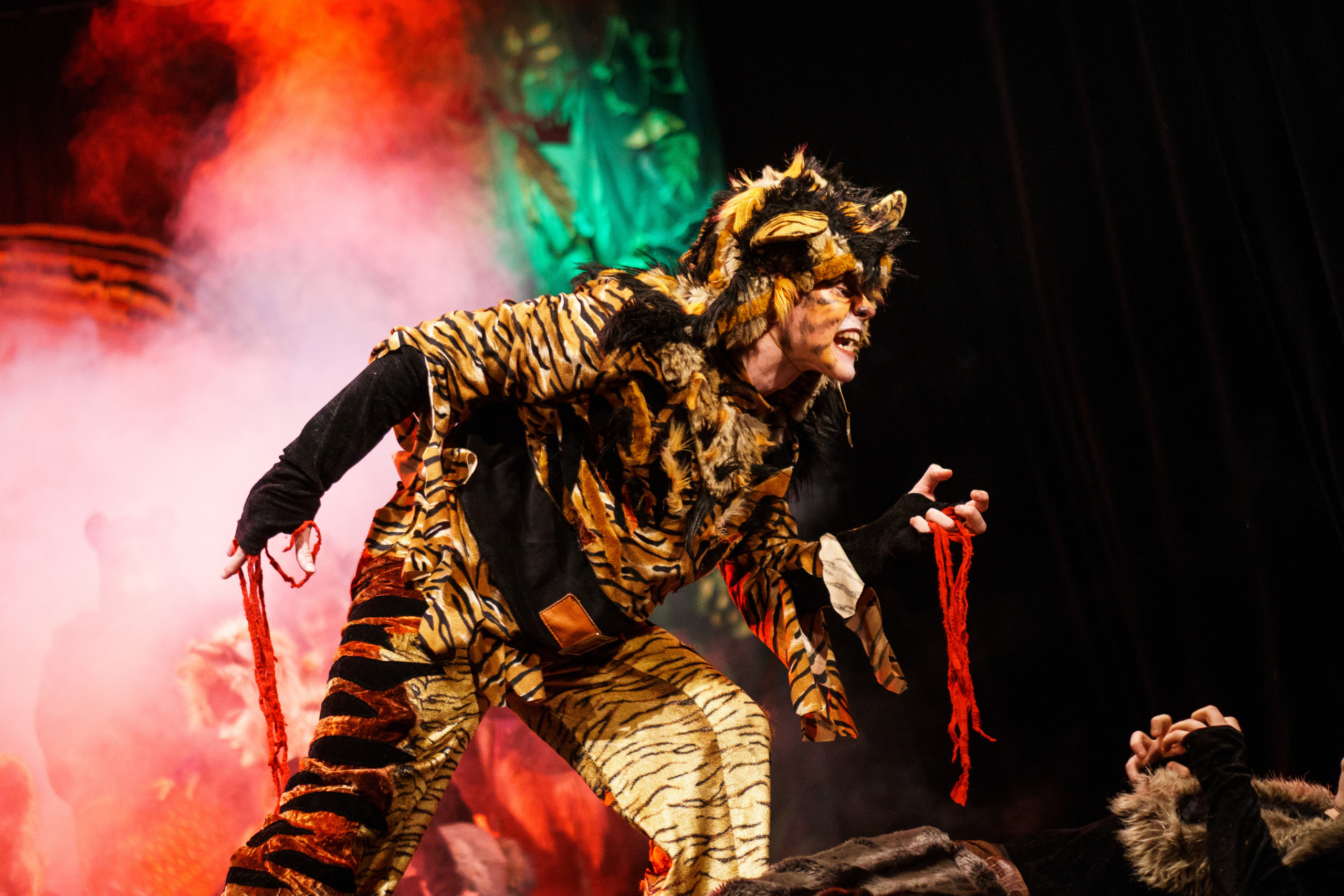 Театр «Сорванцы». Маугли. Photo • Video • Production • Aerial • Media Creation