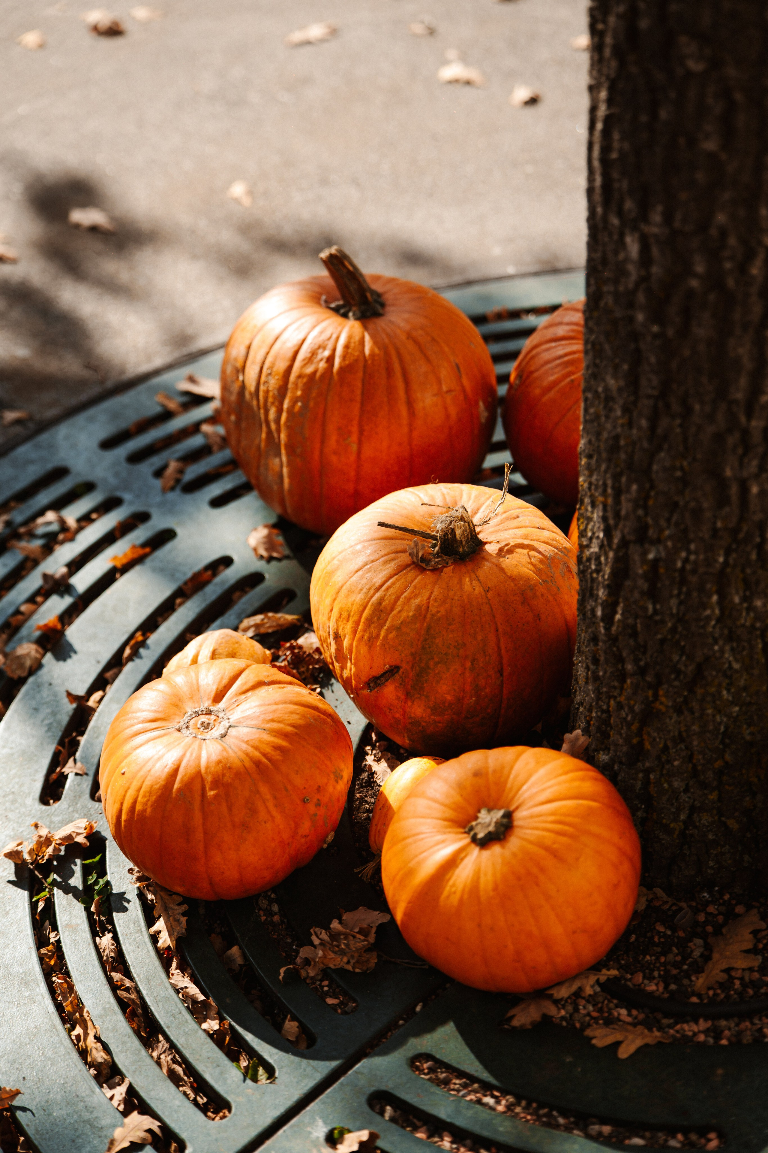 LEGOLAND Halloween 2025. Фото • Відео • Аерозйомка • Контент для бізнесу
