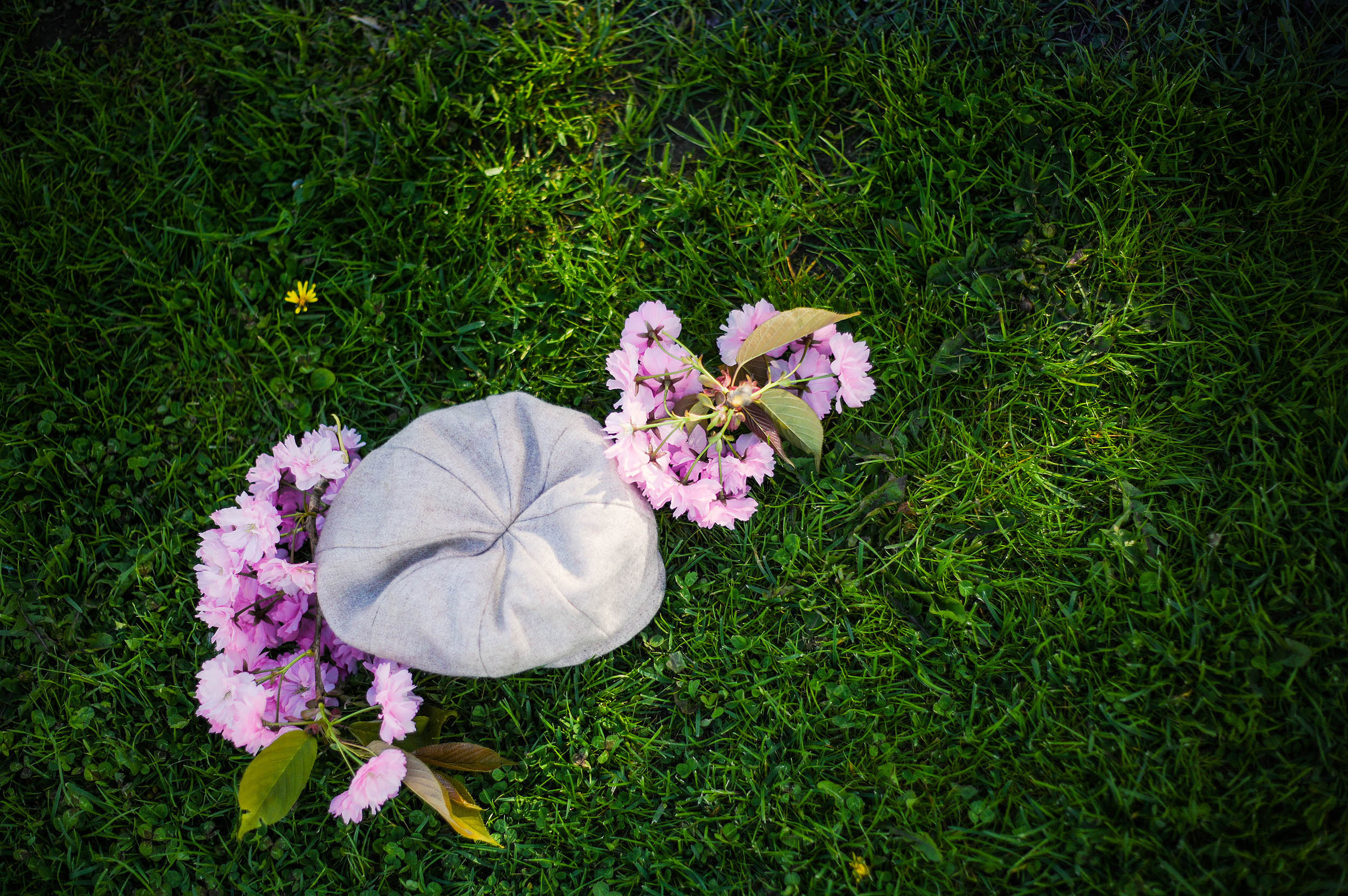 Viki + 3🐒🐒🐒. Family and wedding photographer in Norway Bublik Polina