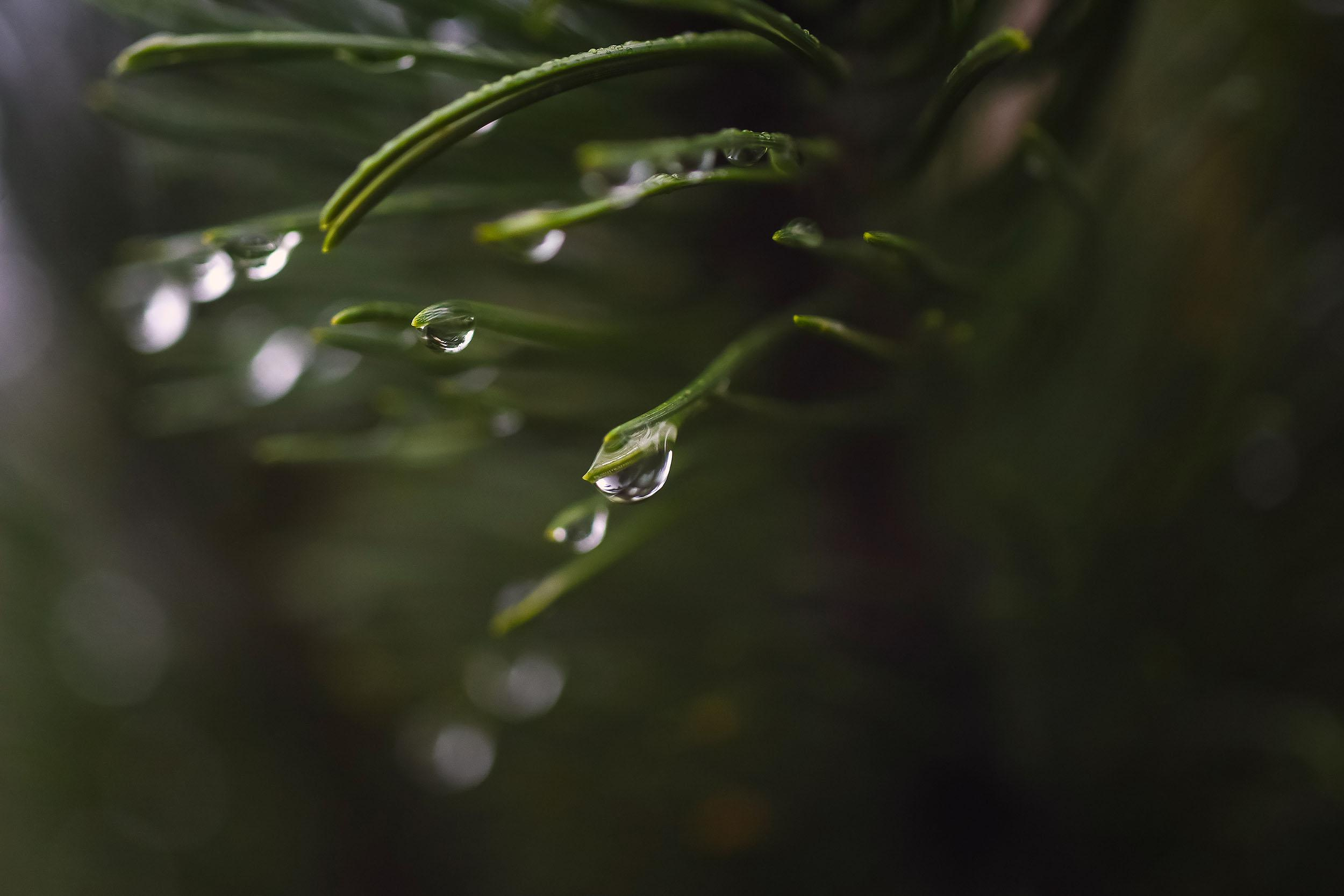 Christine and Bjørnar. Oslo. Family and wedding photographer in Norway Bublik Polina