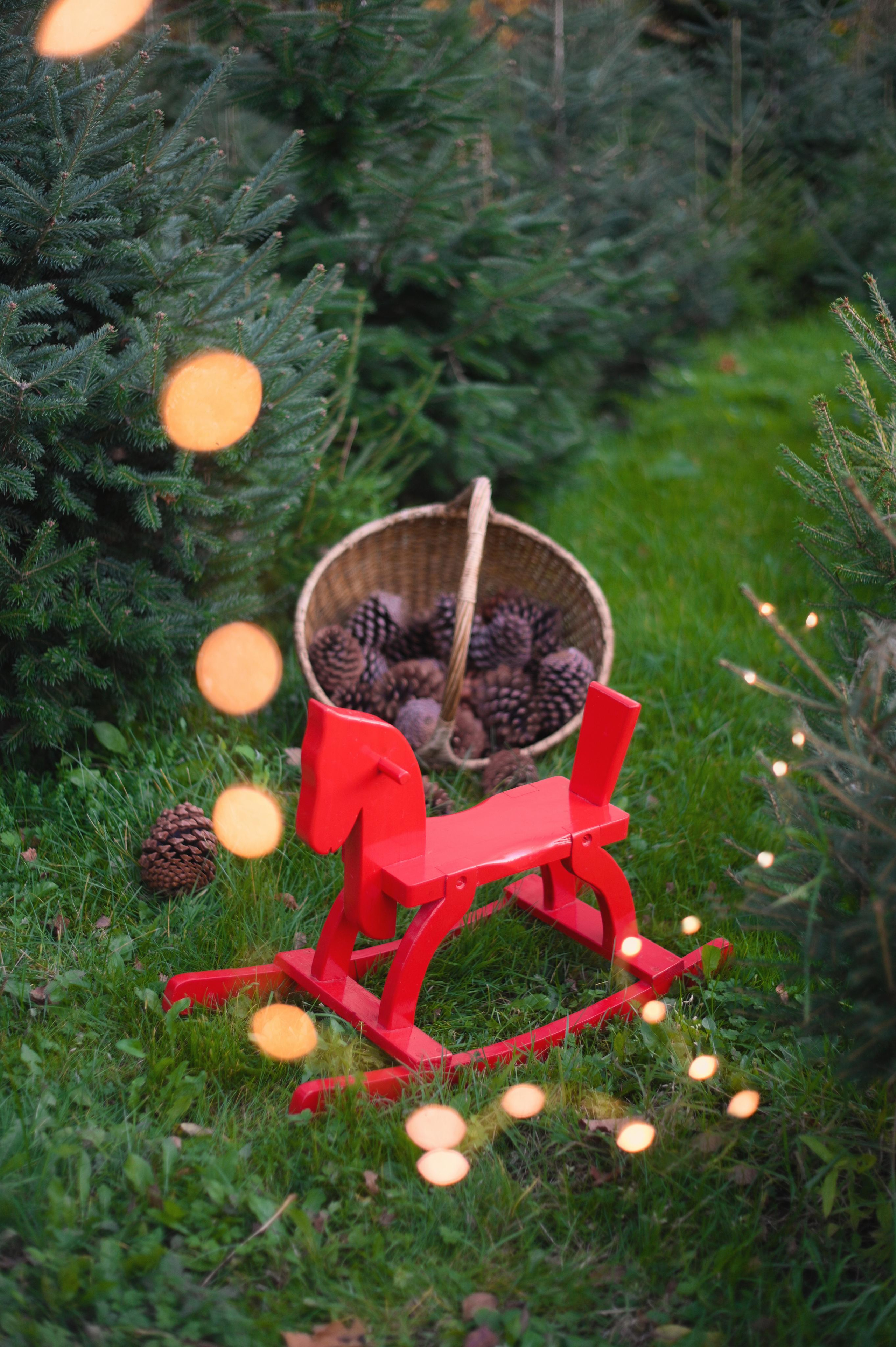 Newton and KW. Family and wedding photographer in Norway Bublik Polina