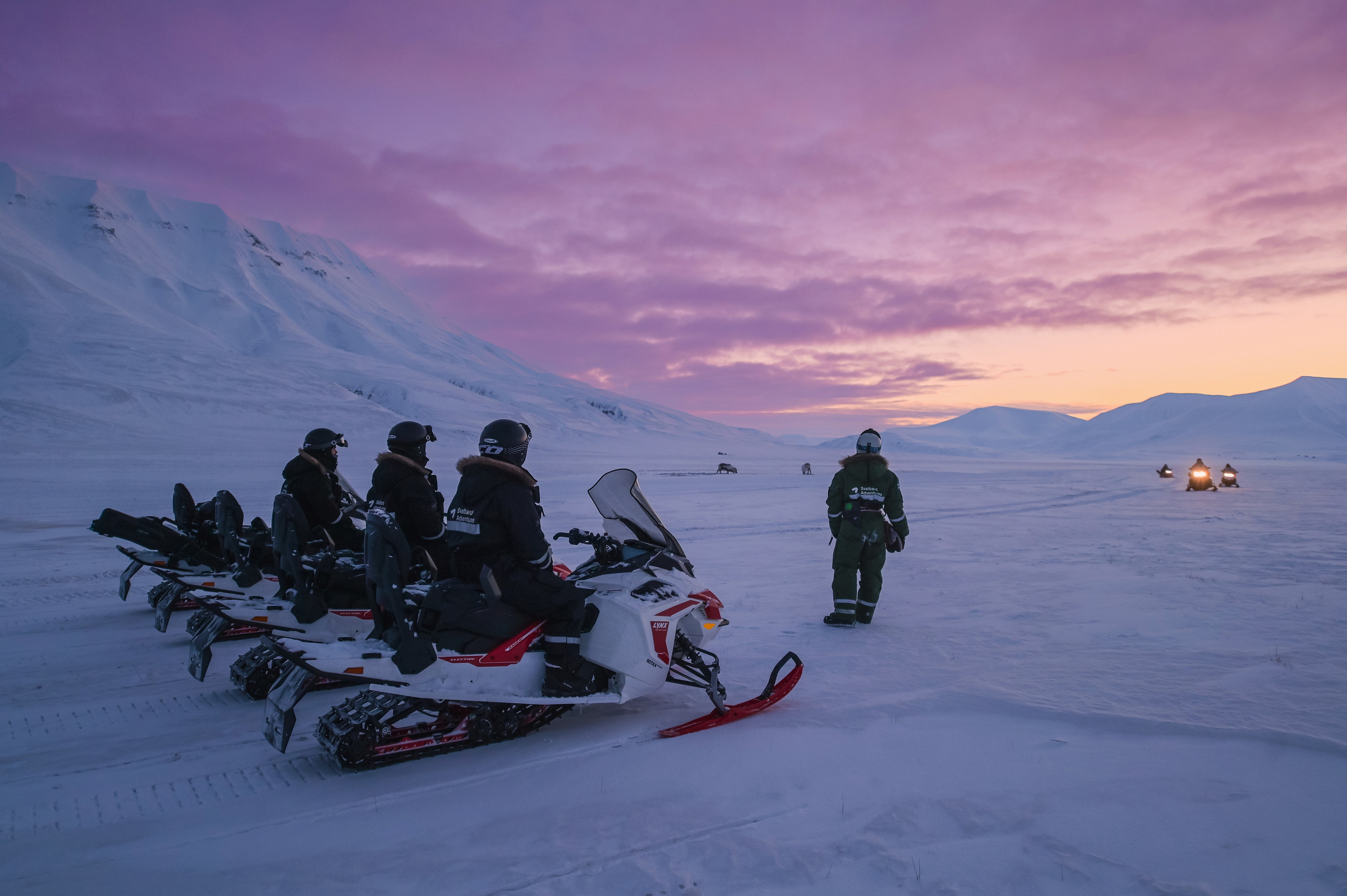 Svalbard february 2024. Family and wedding photographer in Norway Bublik Polina