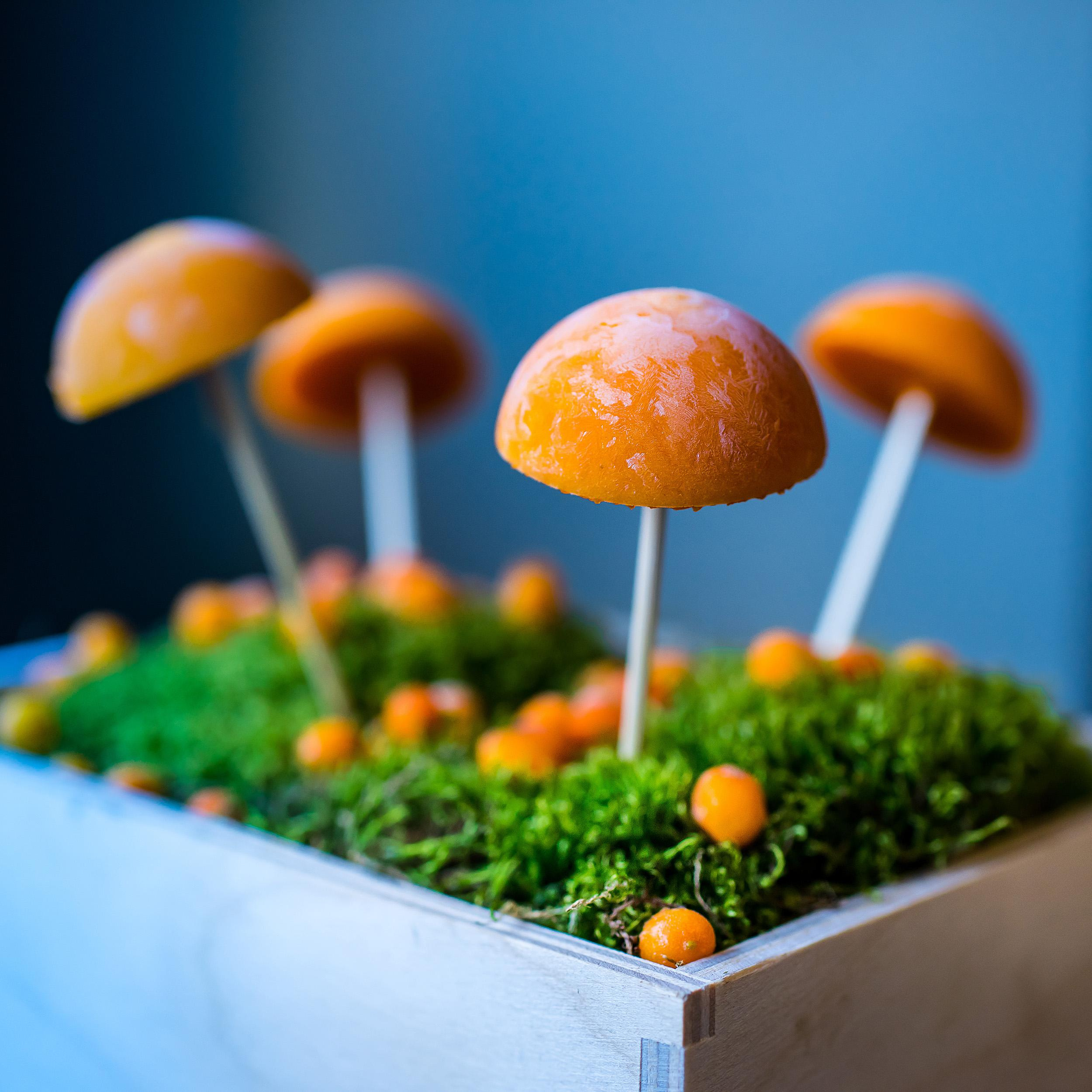 Dishes. Family and wedding photographer in Norway Bublik Polina