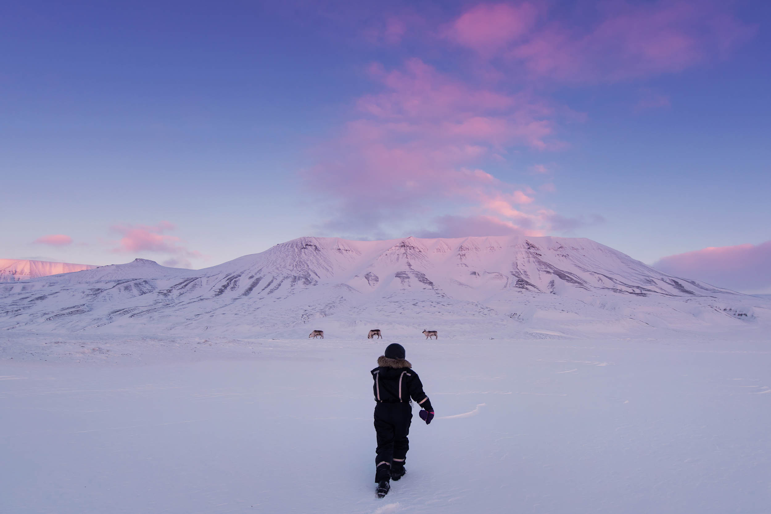 Svalbard. Winter. Day. Family and wedding photographer in Norway Bublik Polina