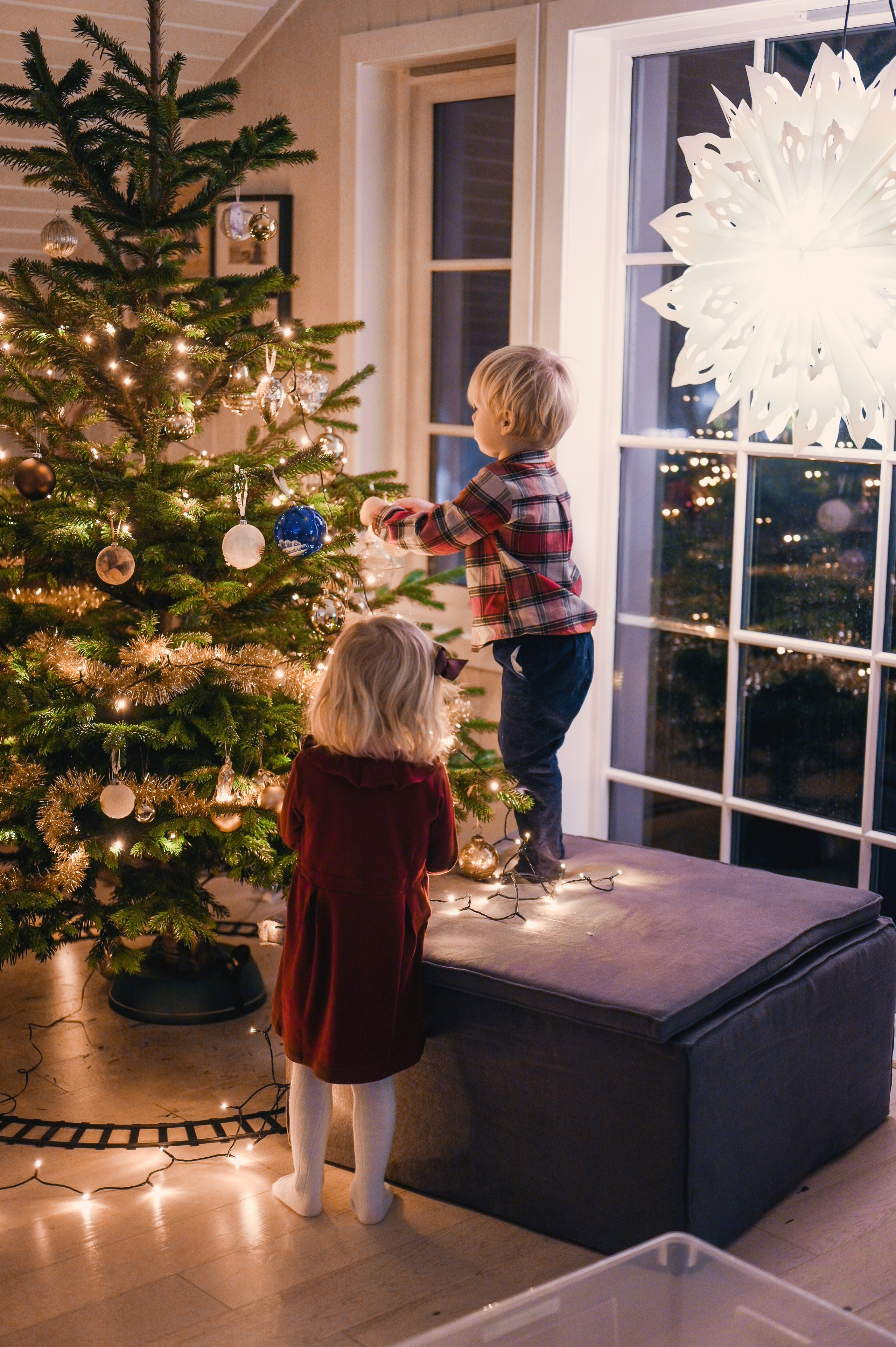 Juletre. Family and wedding photographer in Norway Bublik Polina