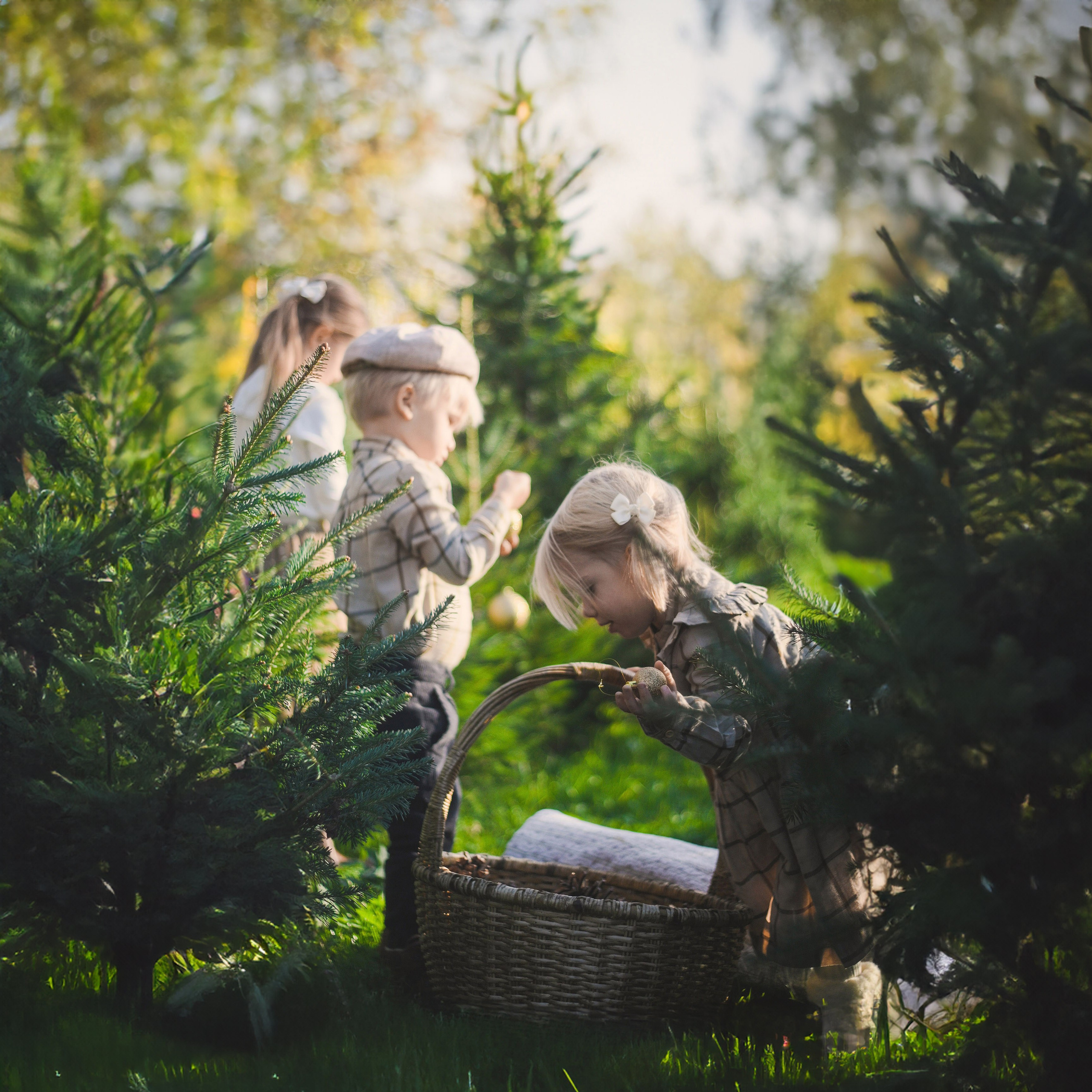 Jul uten snø. Family and wedding photographer in Norway Bublik Polina