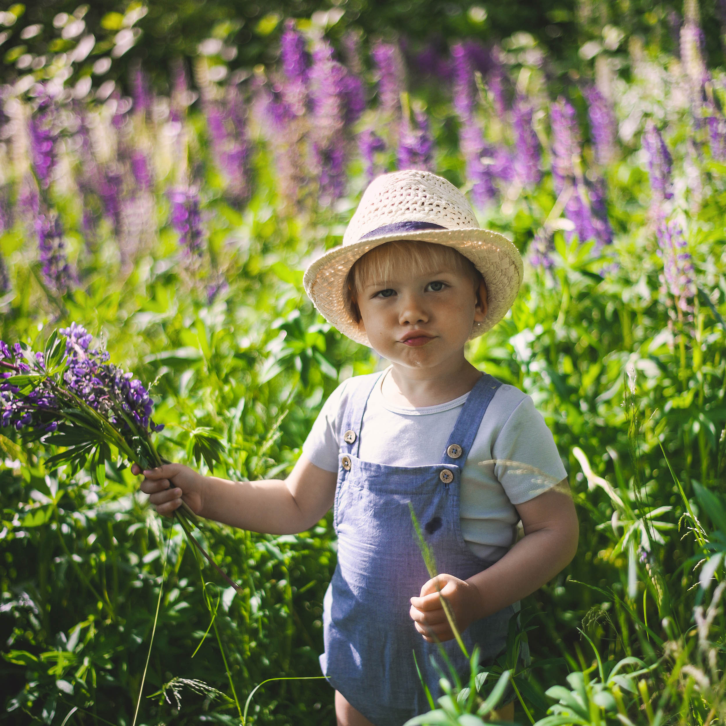 Lupin. Family and wedding photographer in Norway Bublik Polina