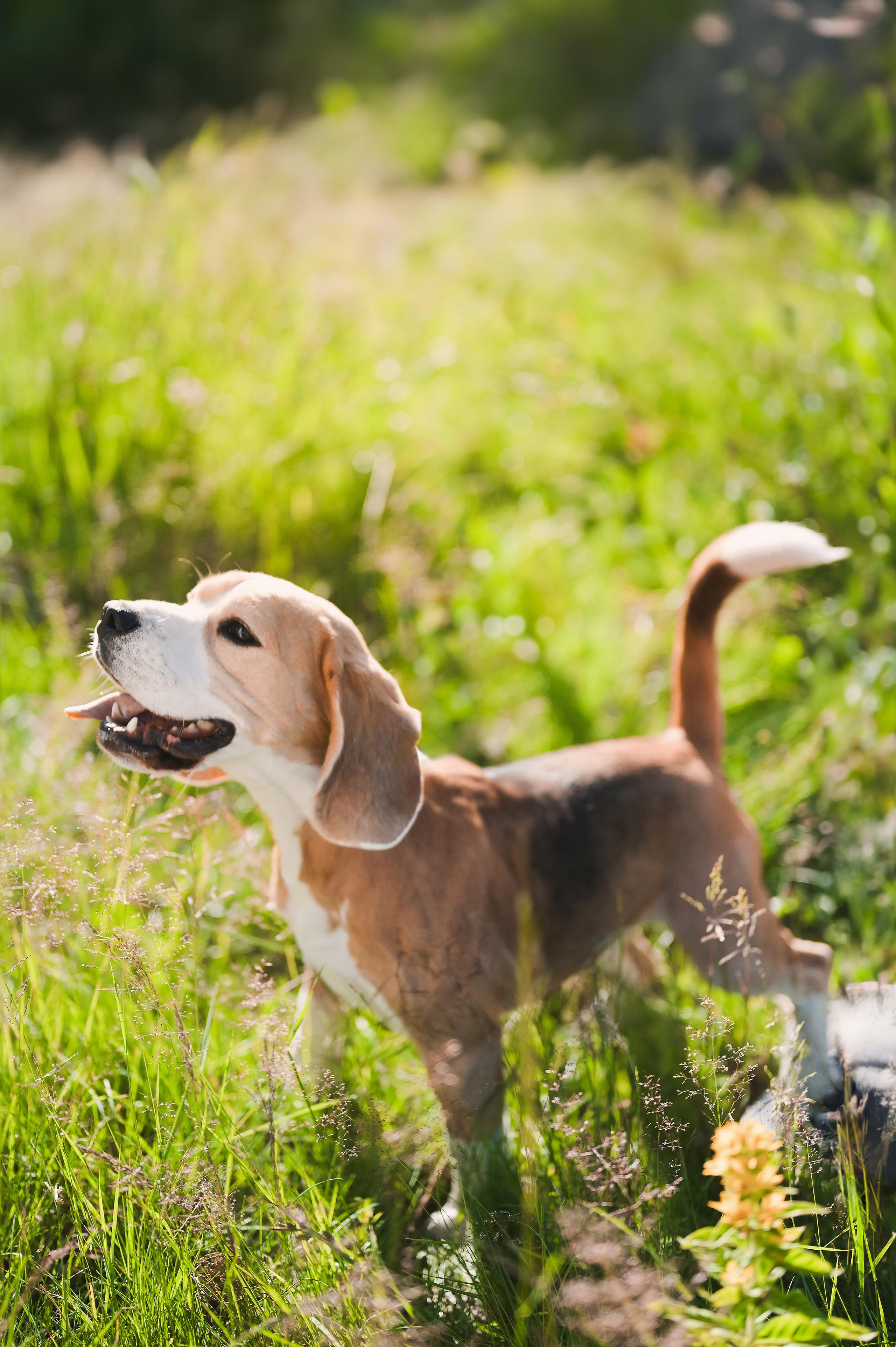 Love on Nøtterøy. Family and wedding photographer in Norway Bublik Polina